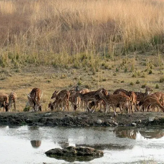 Shikarbadi Hotel - By The Lake Heritage by HRH Group of Hotels Shikarbadi Hotel - By The Lake Heritage by HRH Group of Hotels