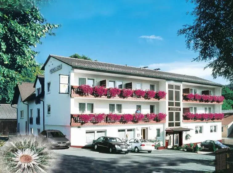 Pension und Fewo Hohe Rhön Pension und Fewo Hohe Rhön