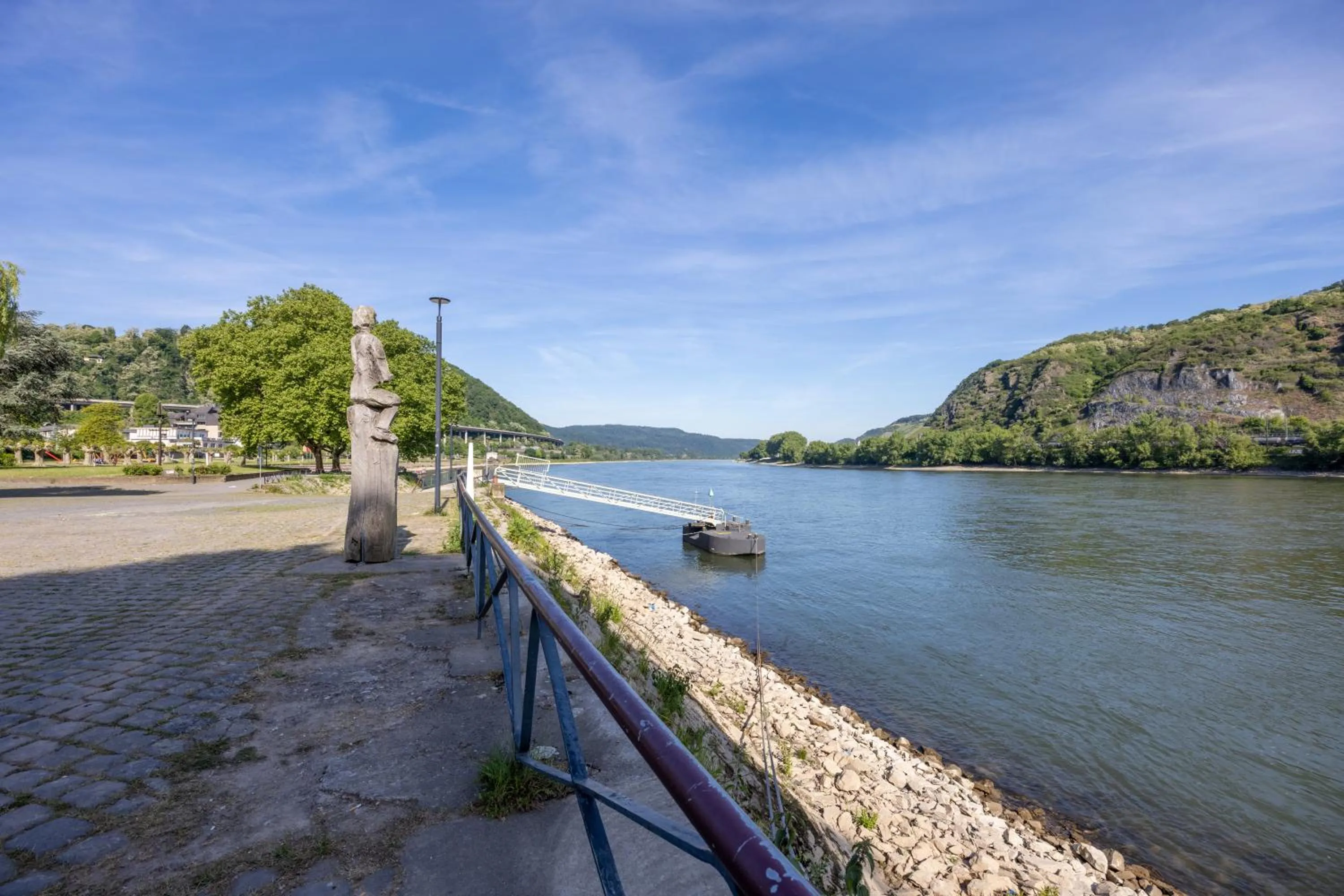 River view in Panorama Hotel Rheinkrone