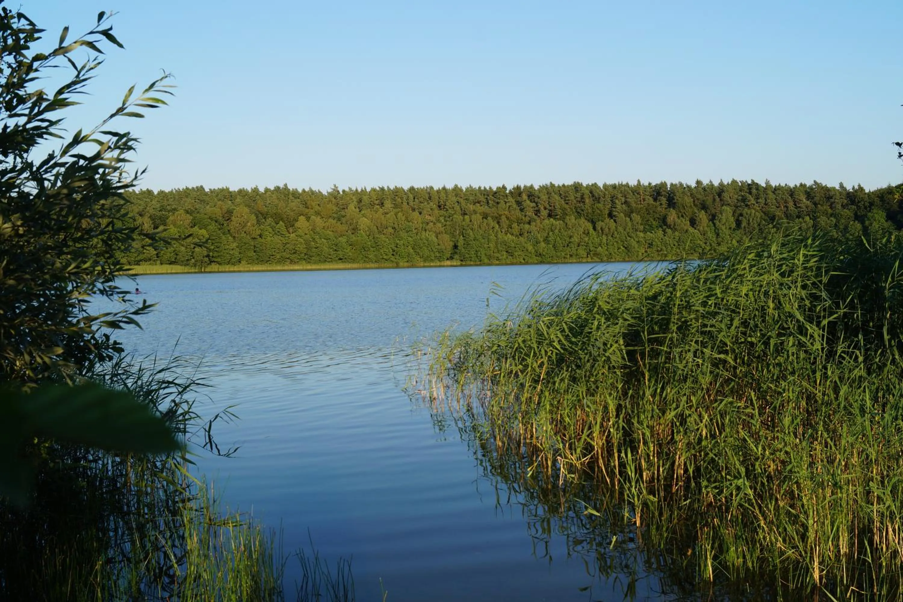 Natural landscape in Hotel Kleines Meer