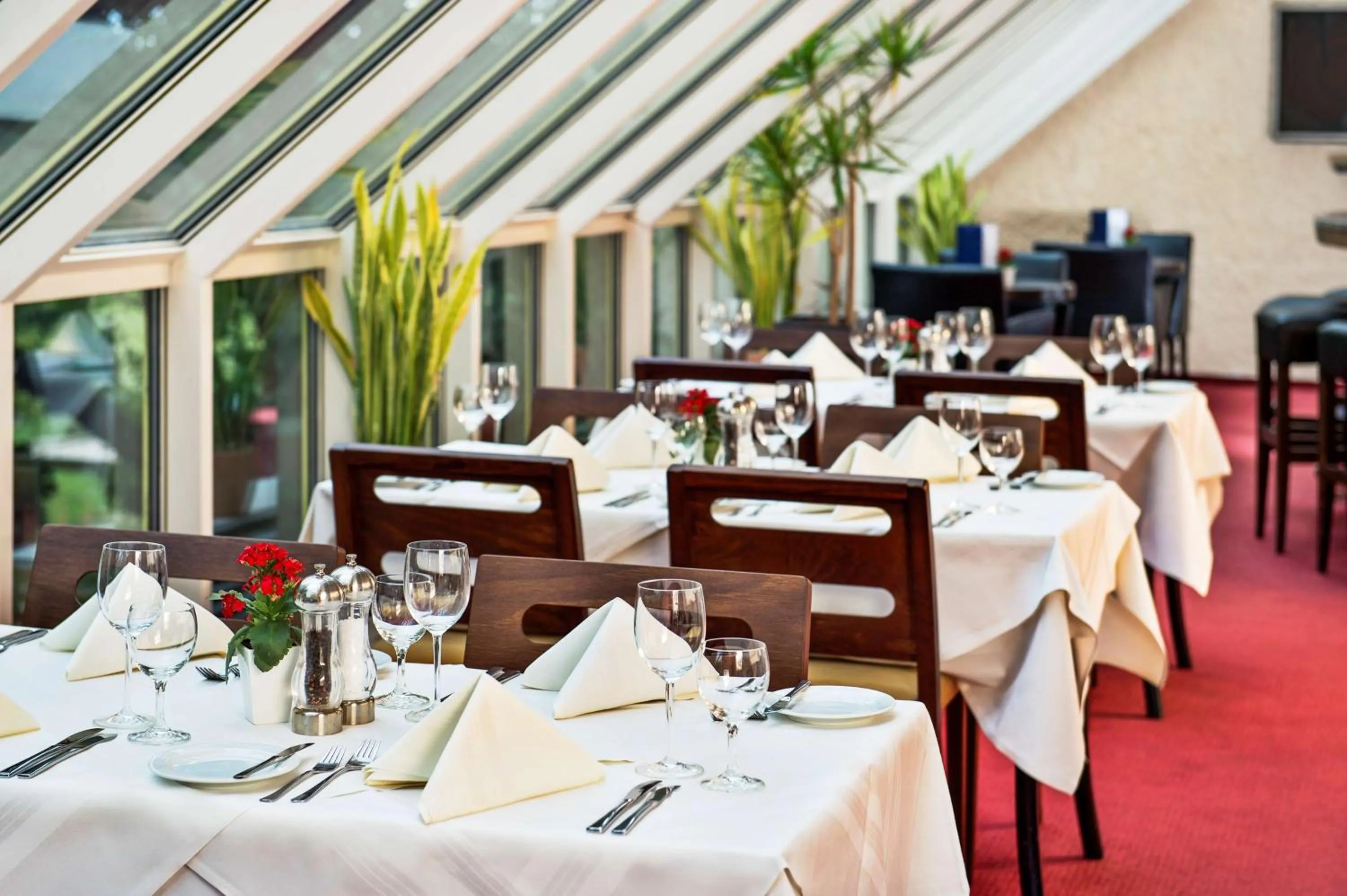 Restaurant/places to eat in NH Hirschberg Heidelberg