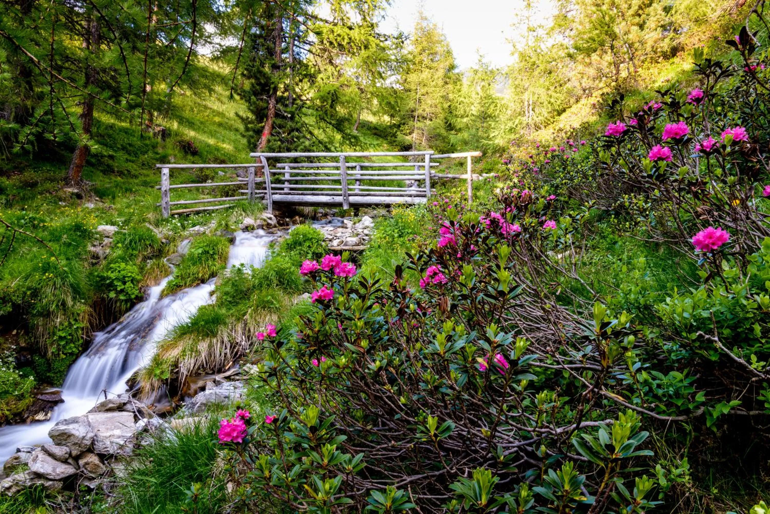 Garden in Residence Bannwald