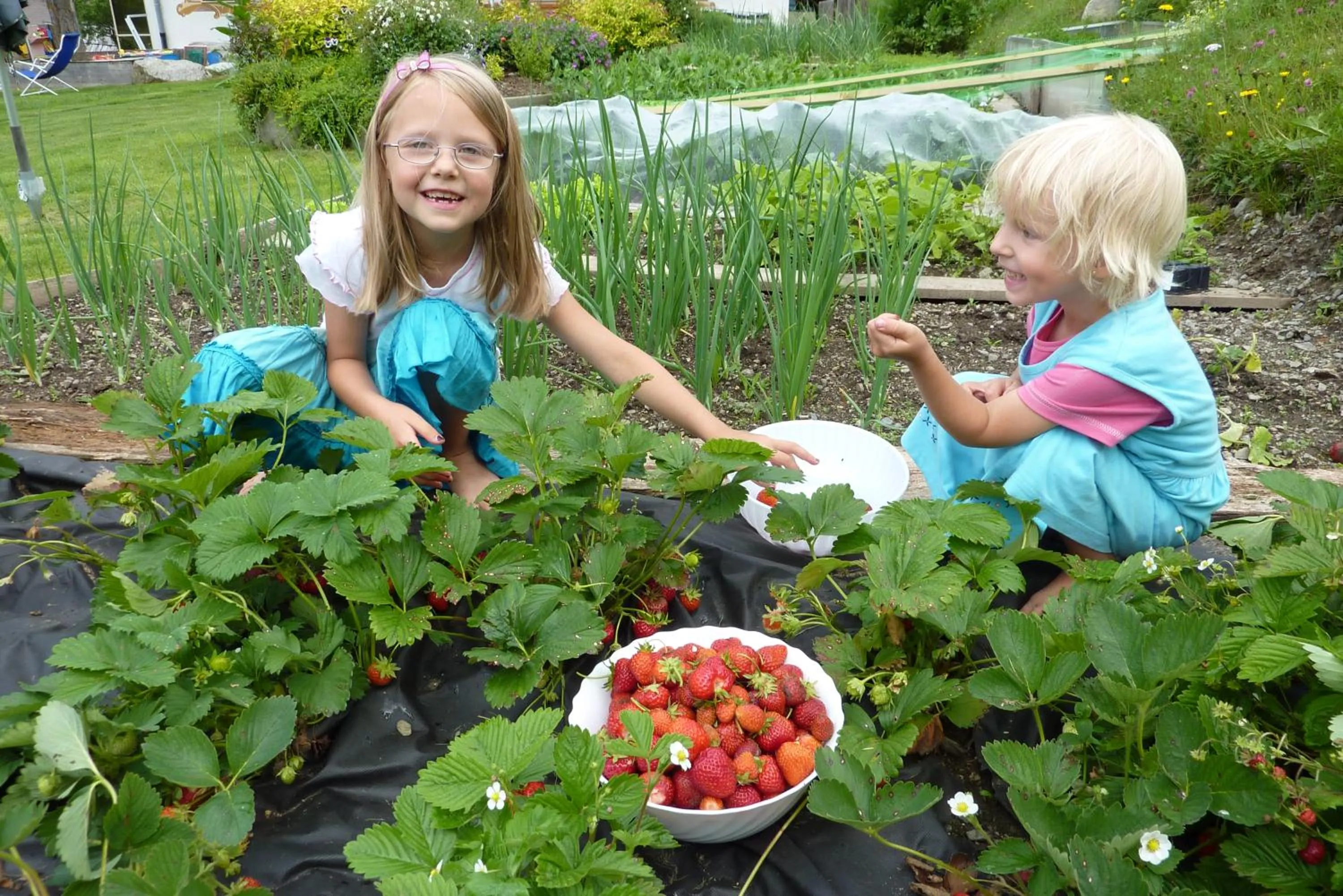 Food in Residence Bannwald