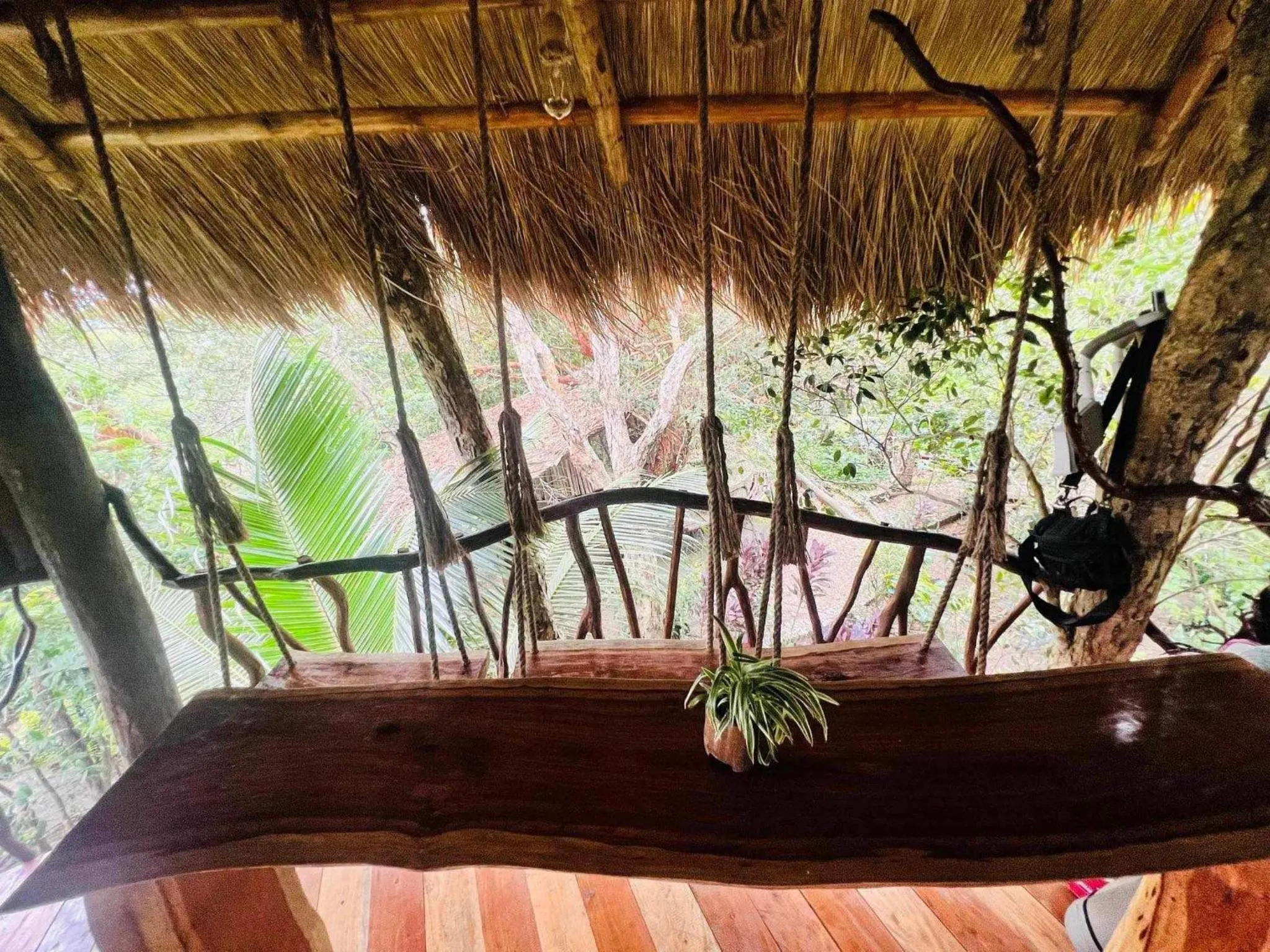 Sanctuaria Treehouses Busuanga