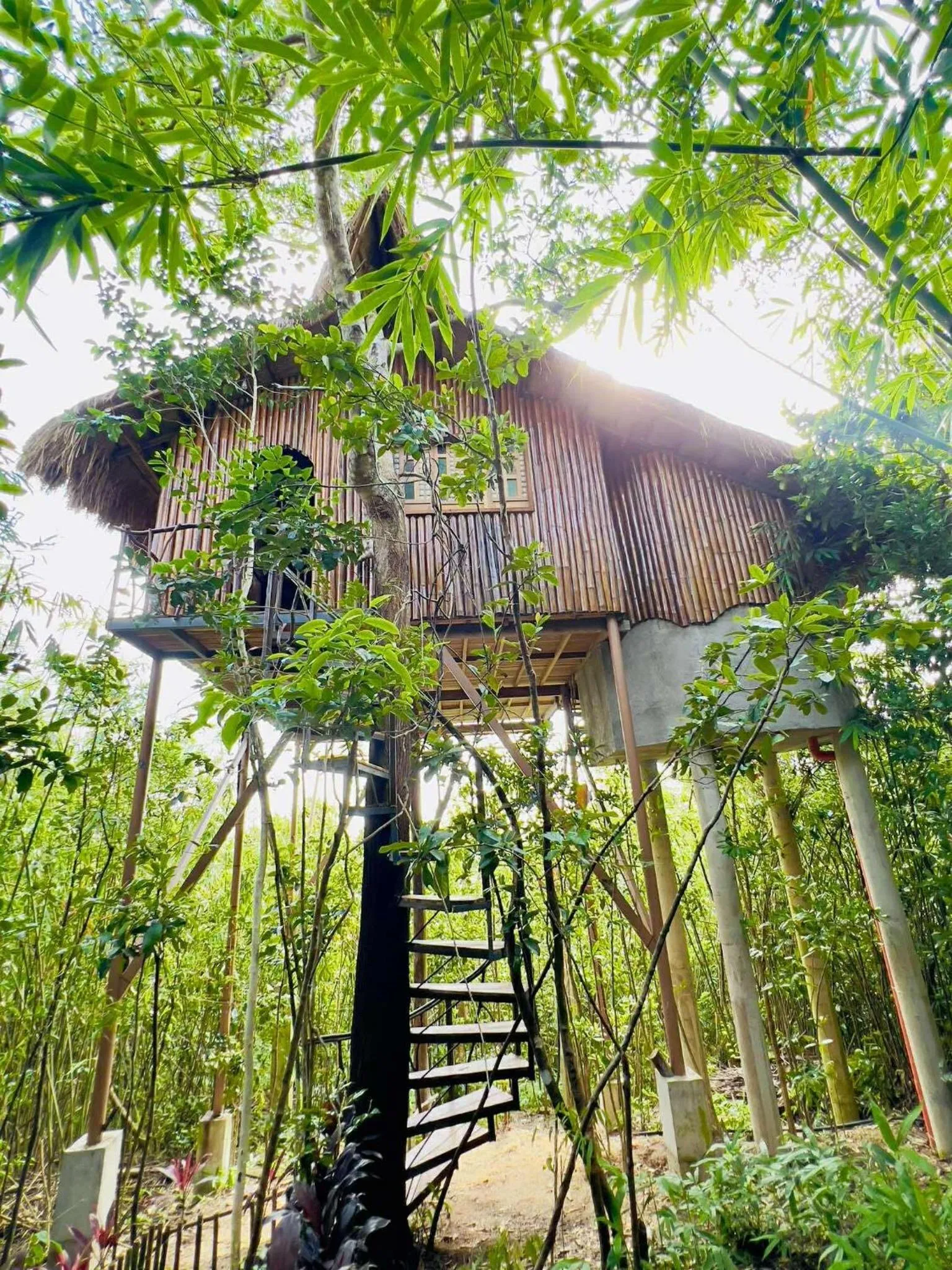 Sanctuaria Treehouses Busuanga