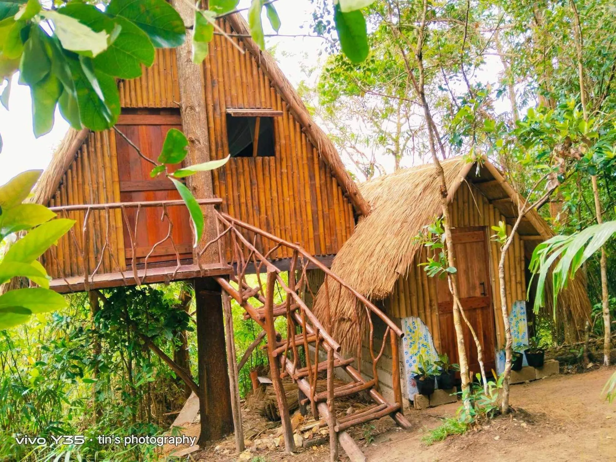 Sanctuaria Treehouses Busuanga