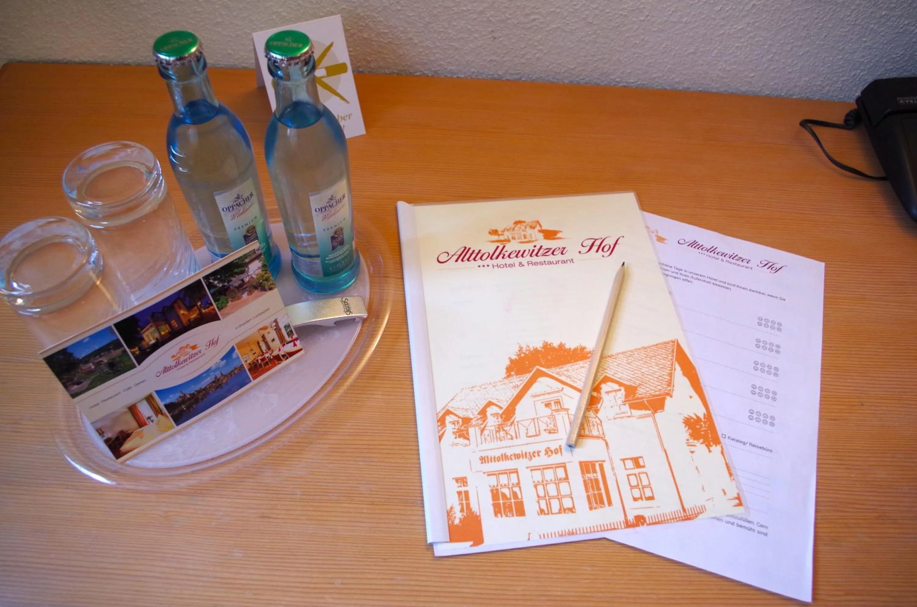 Decorative detail in Hotel Alttolkewitzer Hof