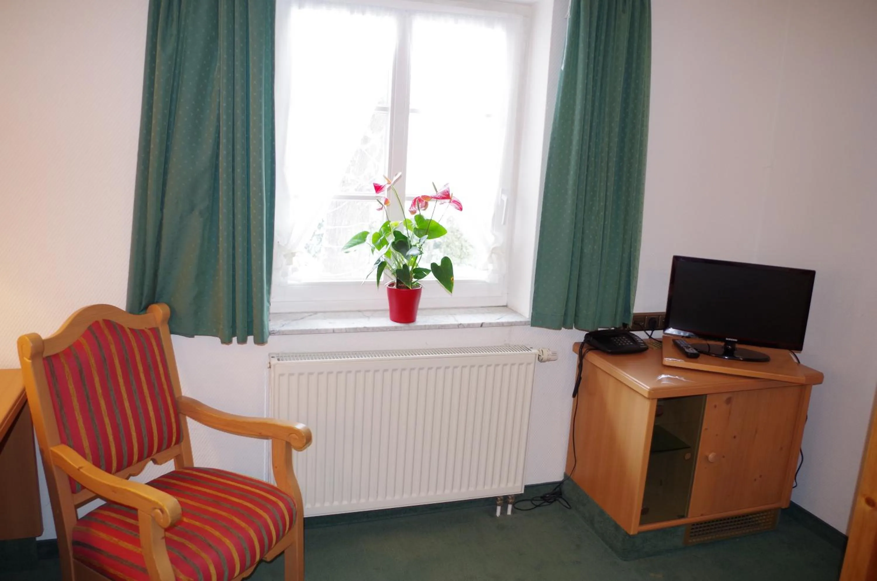 TV and multimedia in Hotel Alttolkewitzer Hof