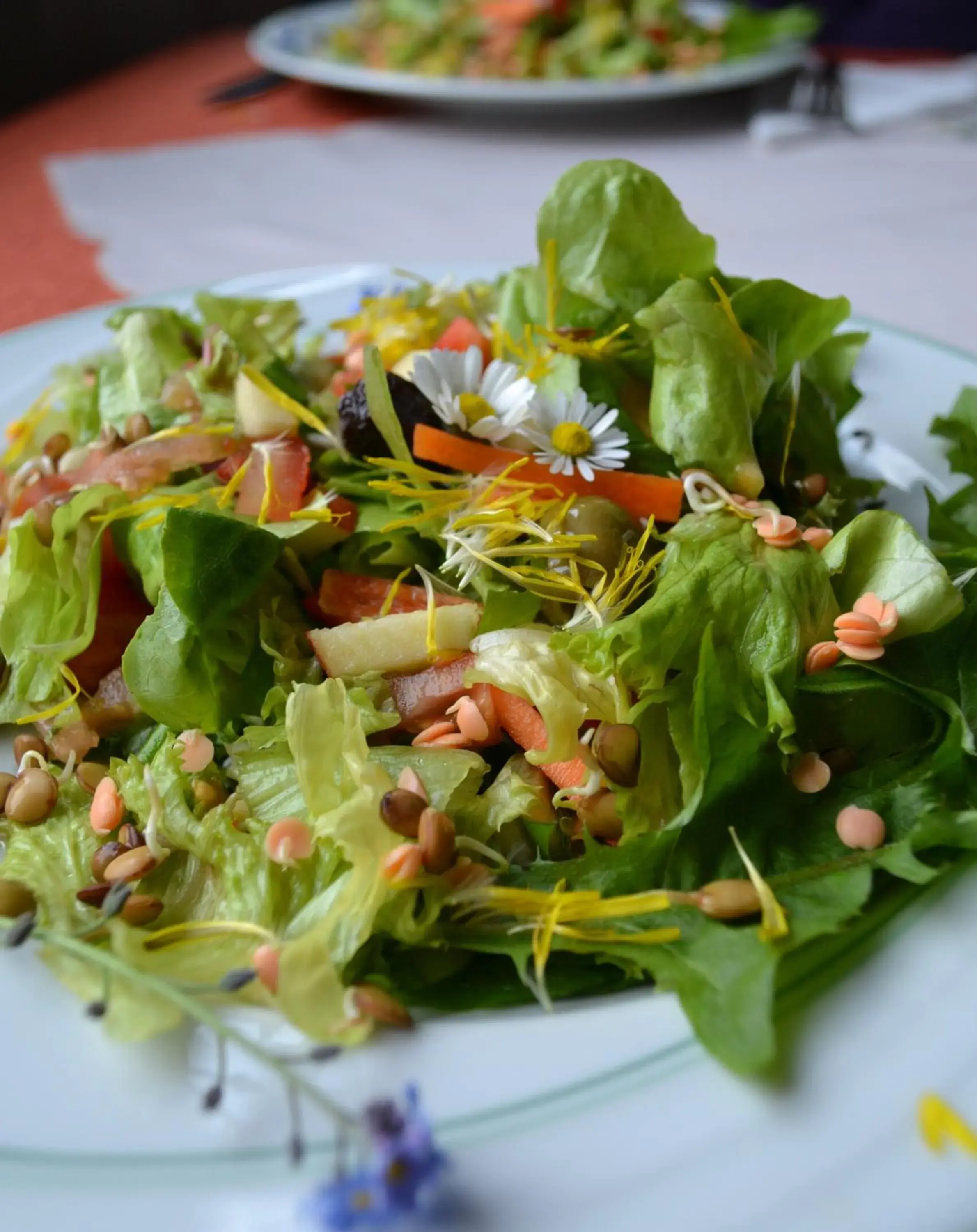 Food close-up, Food in Naturkost-Hotel Harz