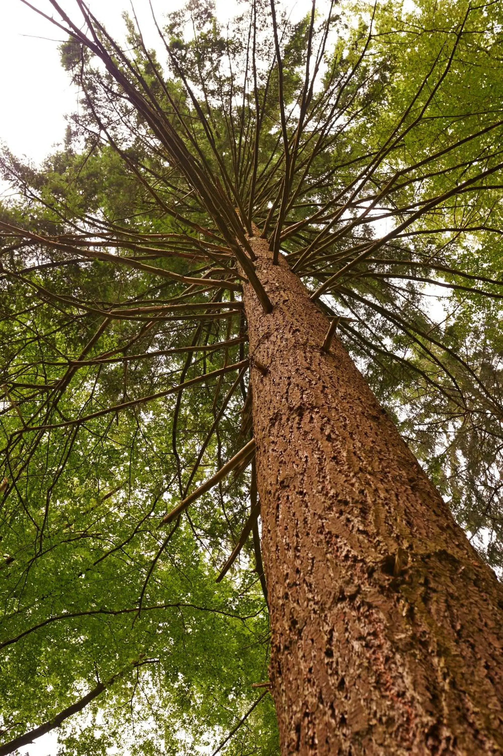 Natural landscape in Naturkost-Hotel Harz