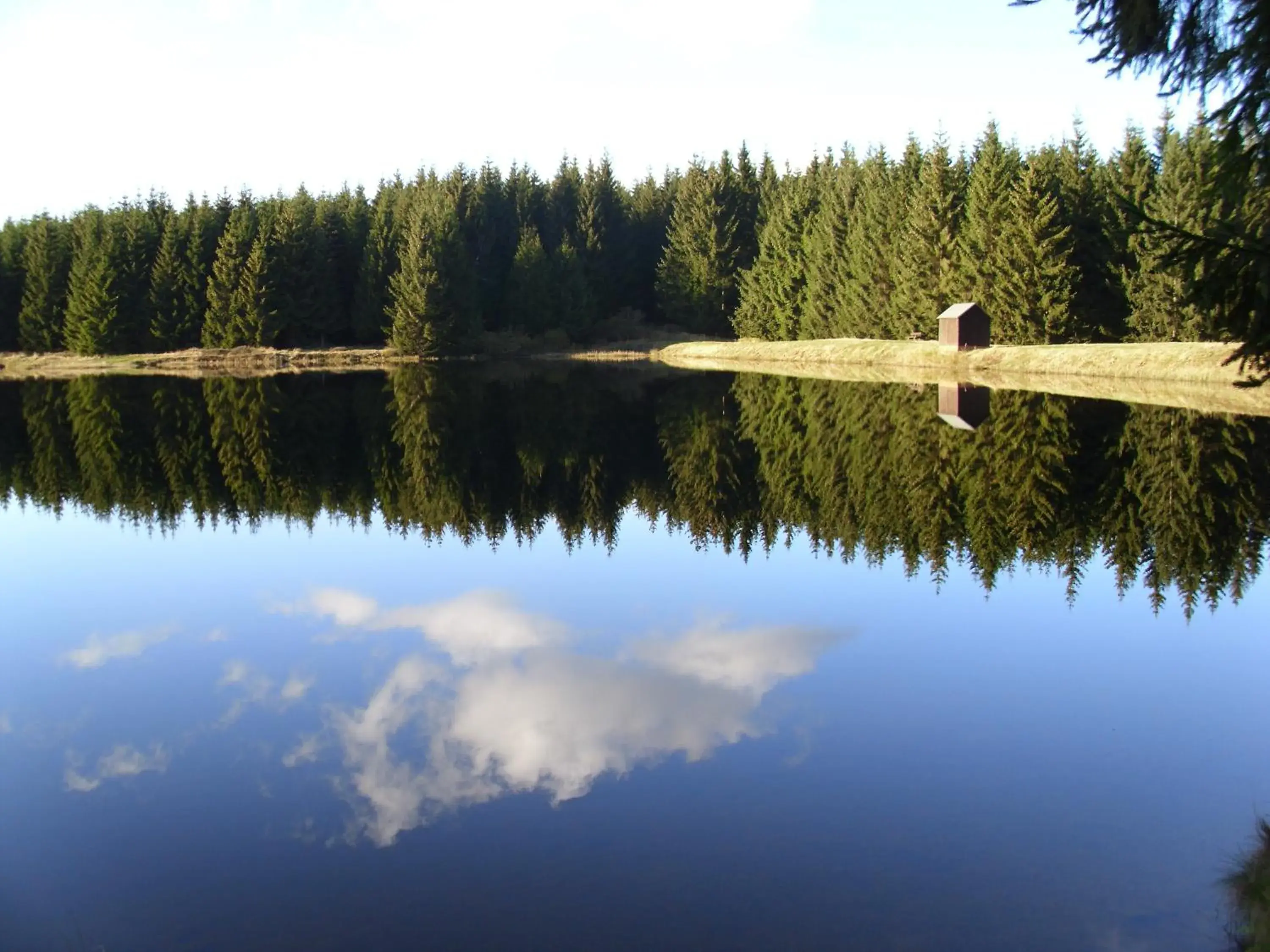 Natural landscape in Naturkost-Hotel Harz