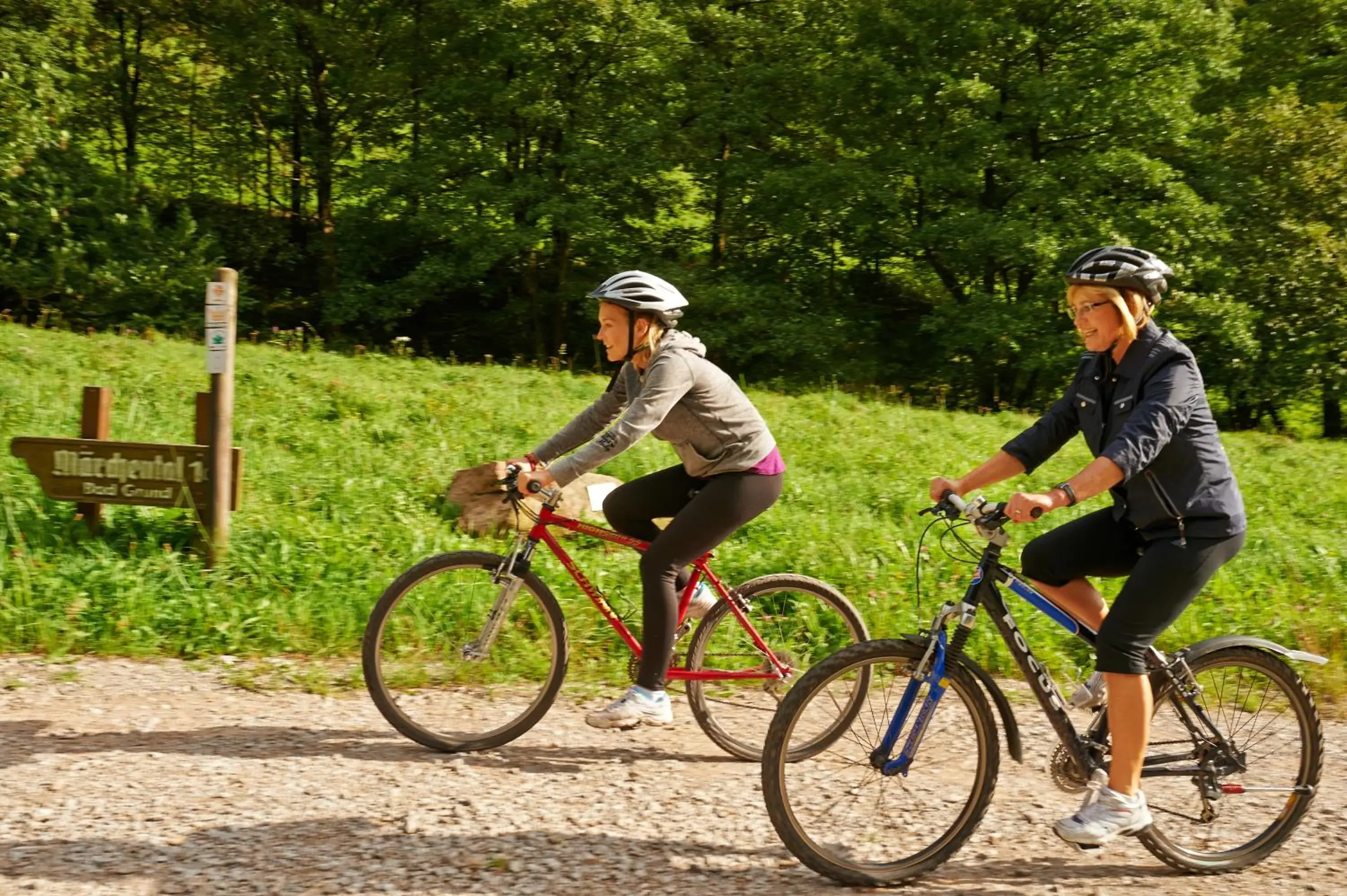 Activities, Biking in Naturkost-Hotel Harz