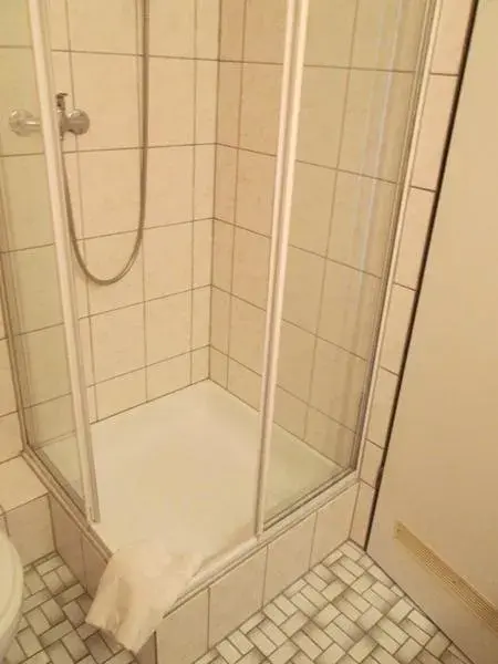 Shower, Bathroom in Naturkost-Hotel Harz