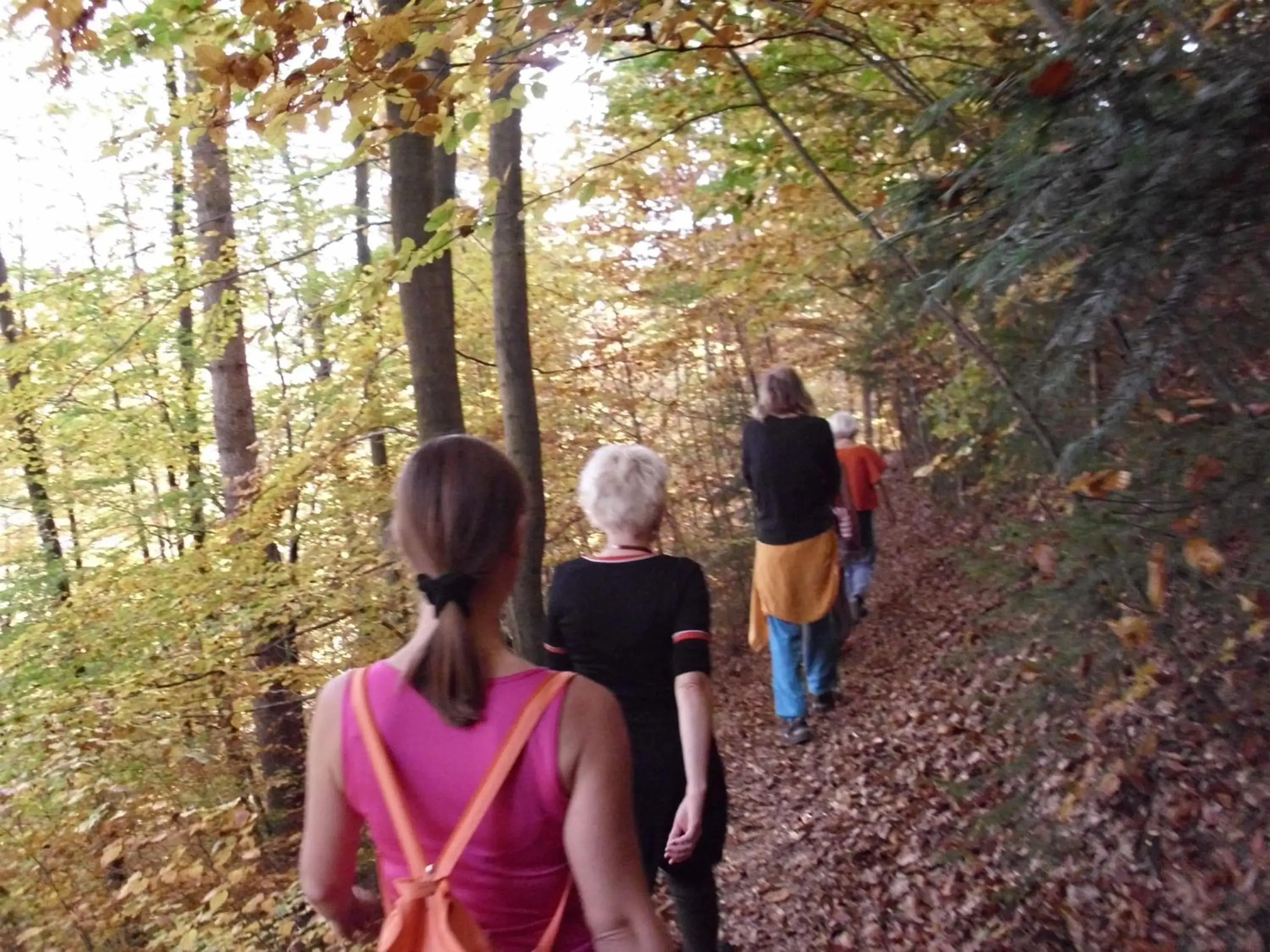 Hiking in Naturkost-Hotel Harz