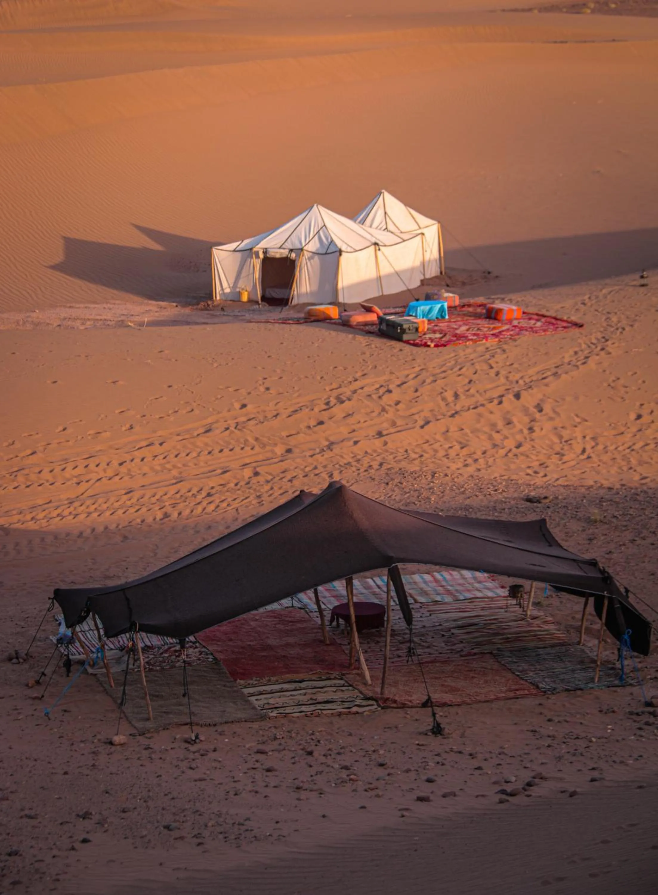 Bivouac Joudour Sahara