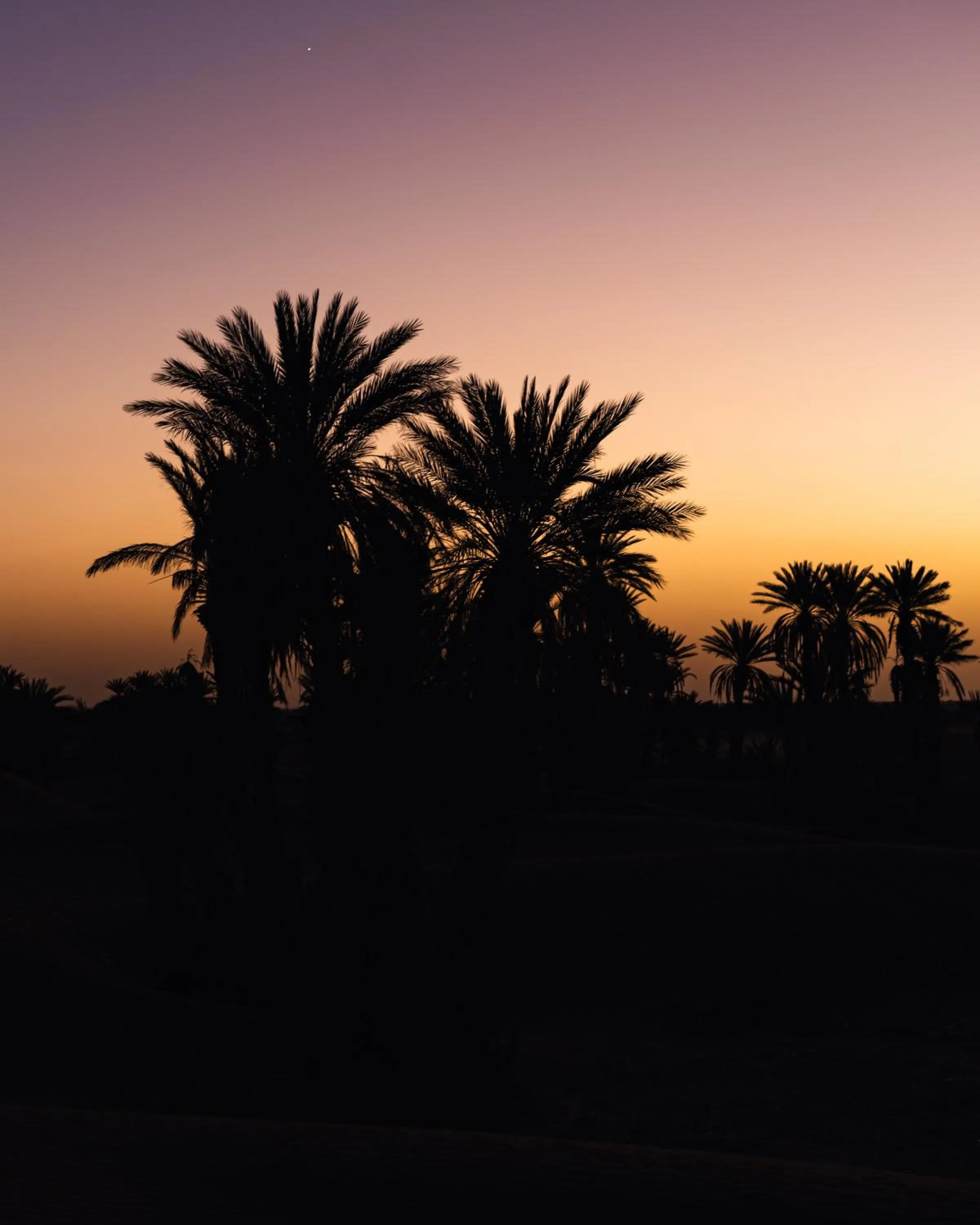 Bivouac Joudour Sahara