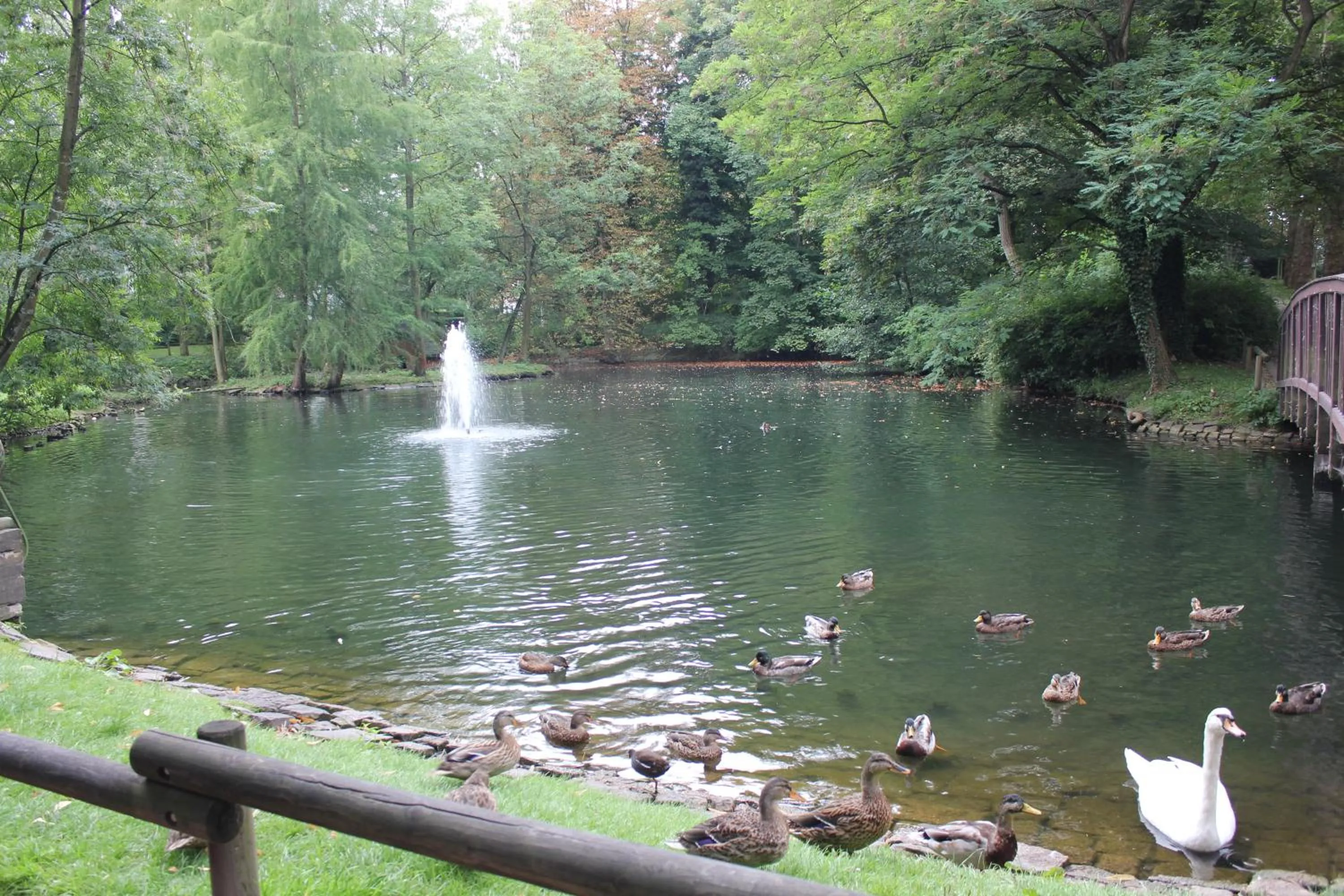 Area and facilities in Stadthotel Bartels
