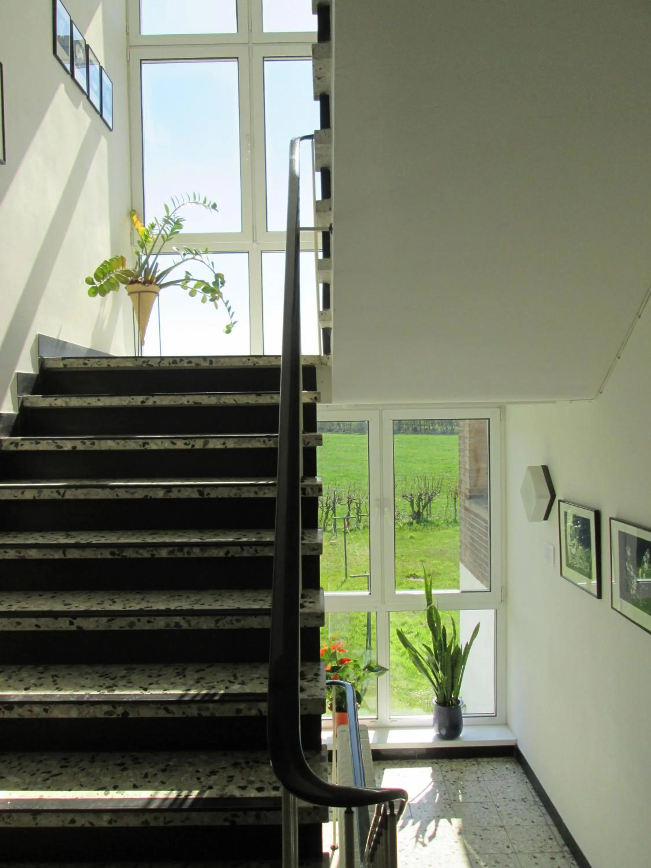 Property building in World House Wetten