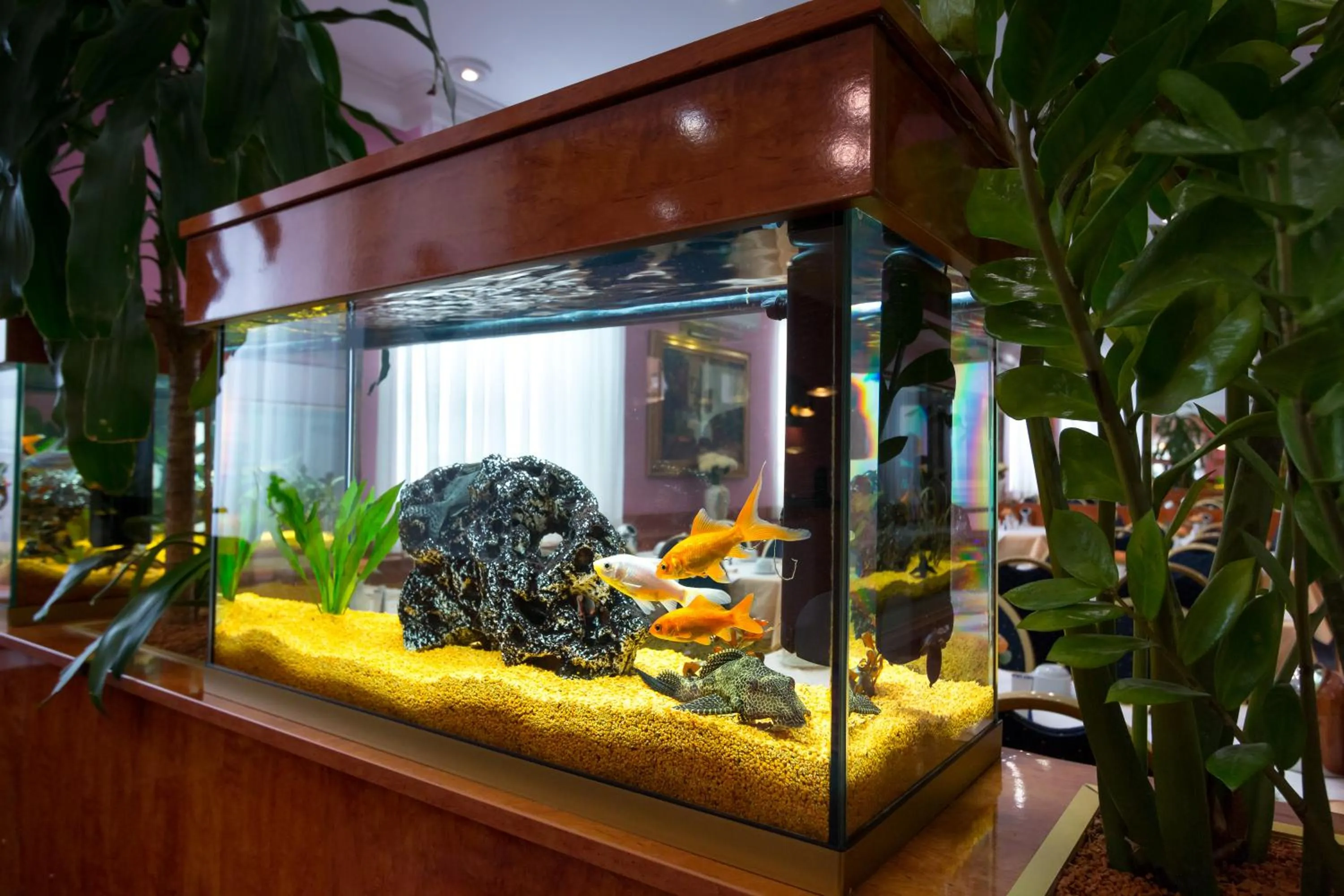 Lobby or reception in Hotel ATLANTA Darmstadt