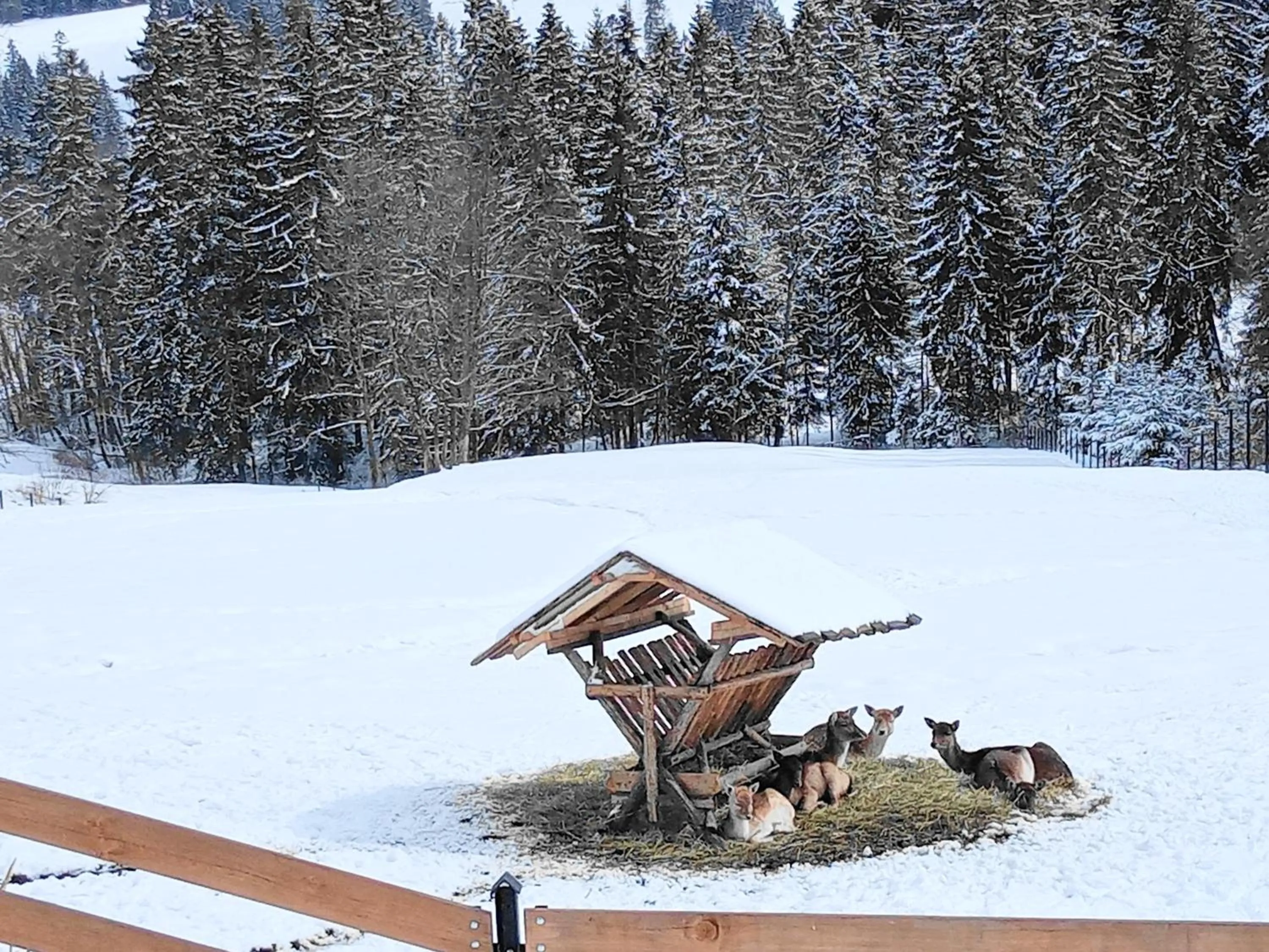 Natural landscape in Ośrodek Wypoczynkowy u Bartka