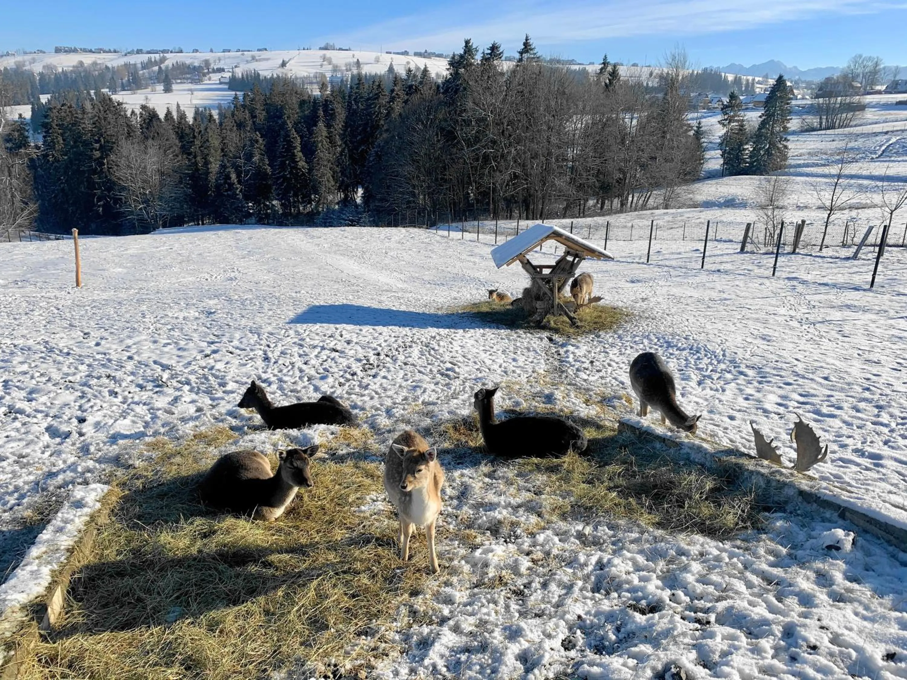 Winter in Ośrodek Wypoczynkowy u Bartka