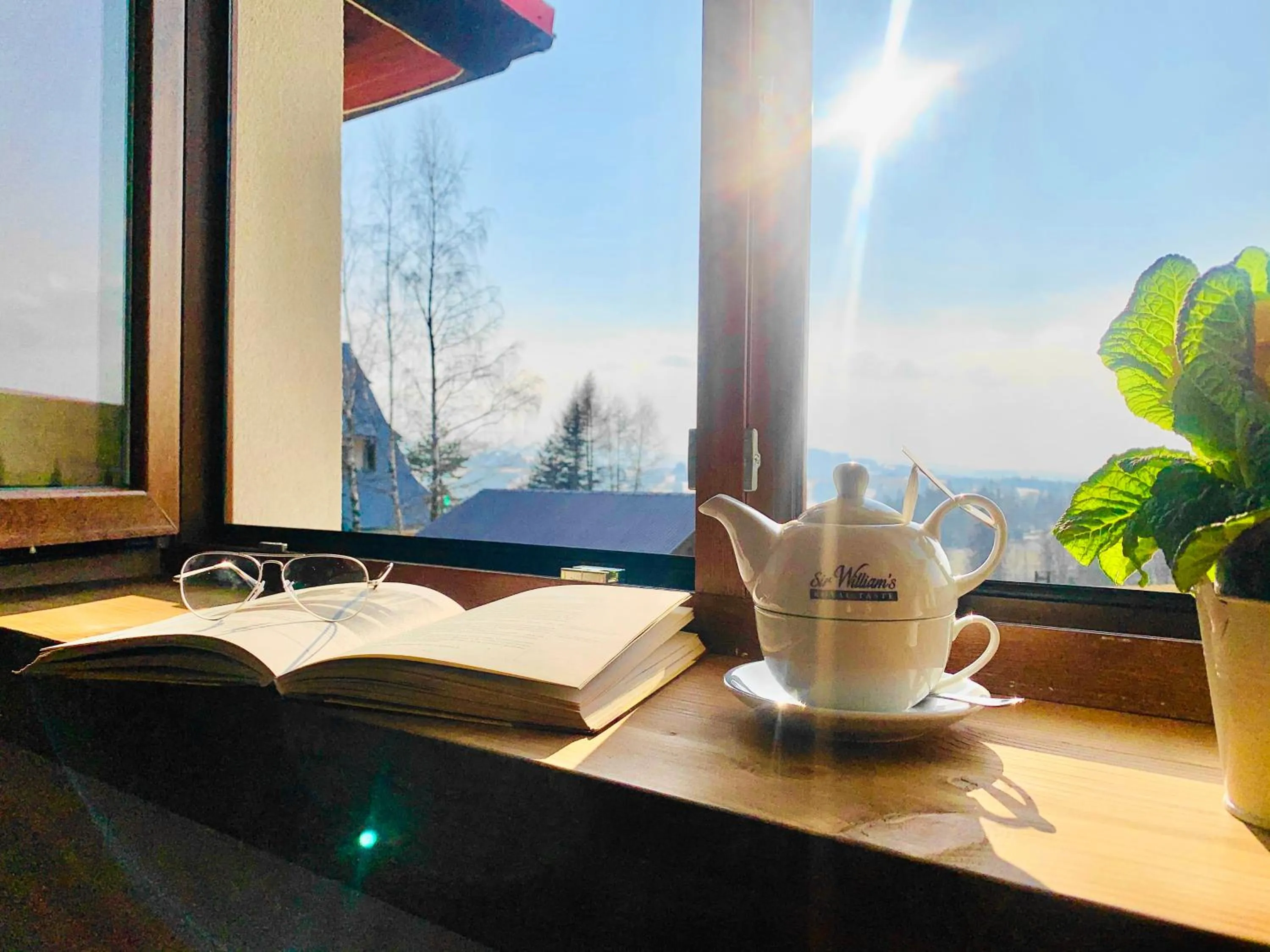 Natural landscape in Ośrodek Wypoczynkowy u Bartka