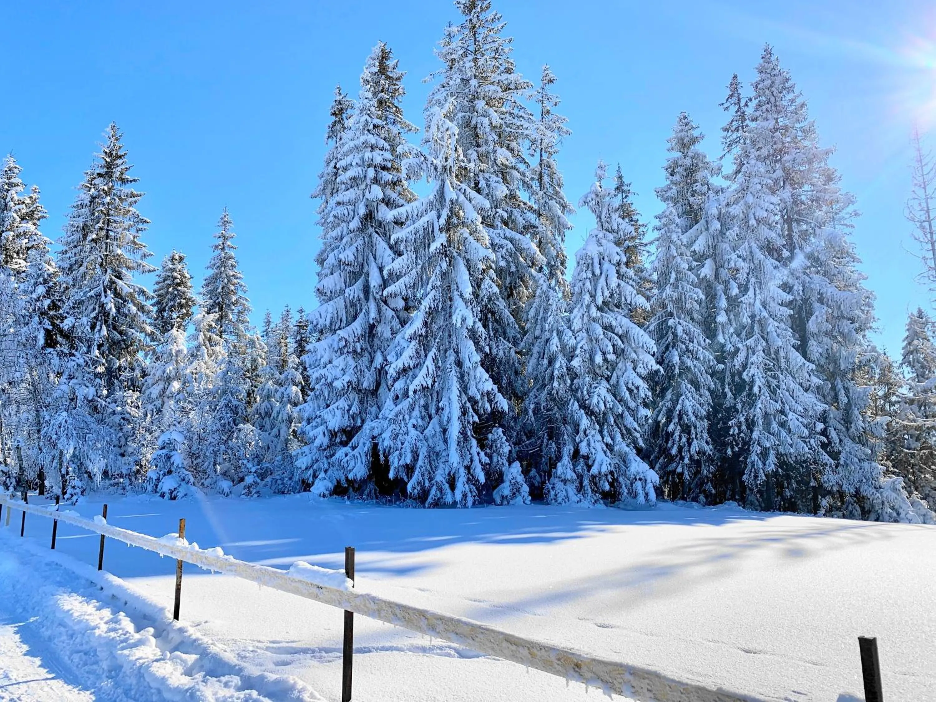 Activities in Ośrodek Wypoczynkowy u Bartka
