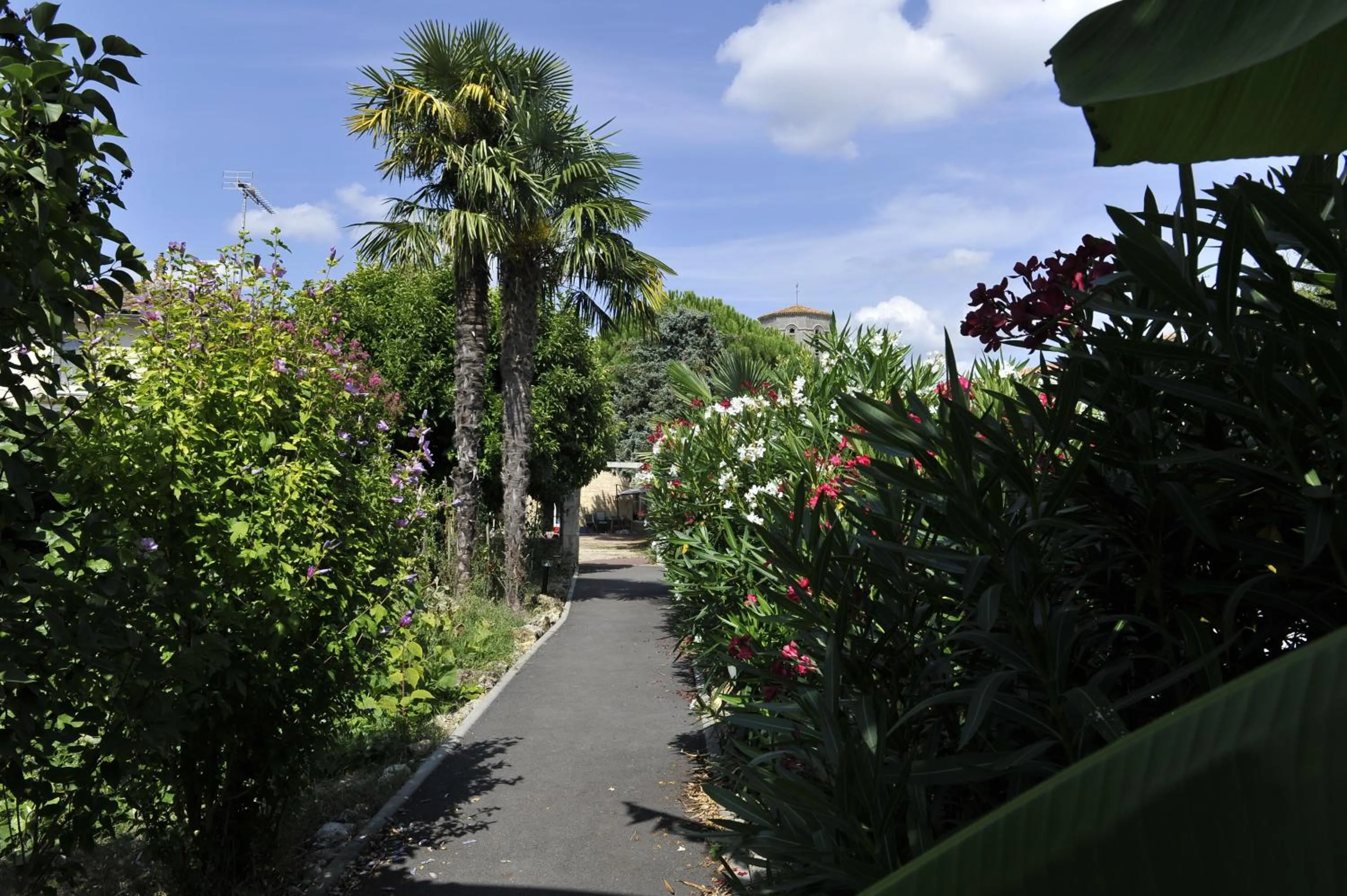 Natural landscape in Jardin d'arcy - chambres d'hôtes avec piscine et SPA