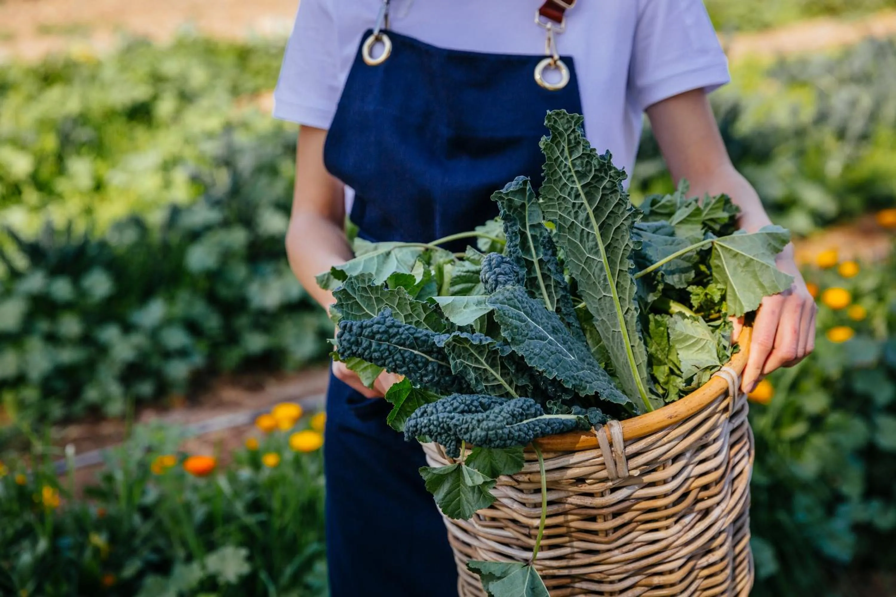 Food and drinks in Six Senses Shaharut