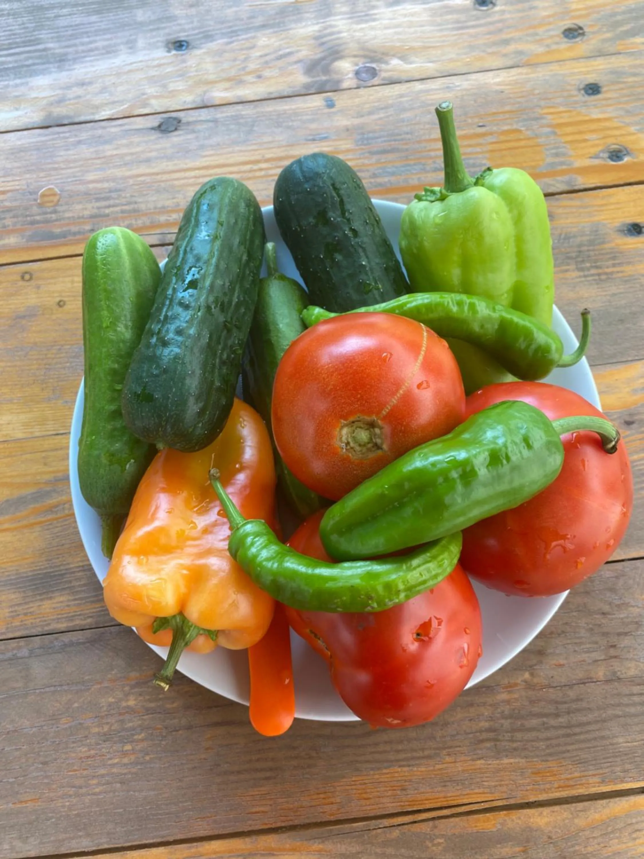 Food in Christy Hotel