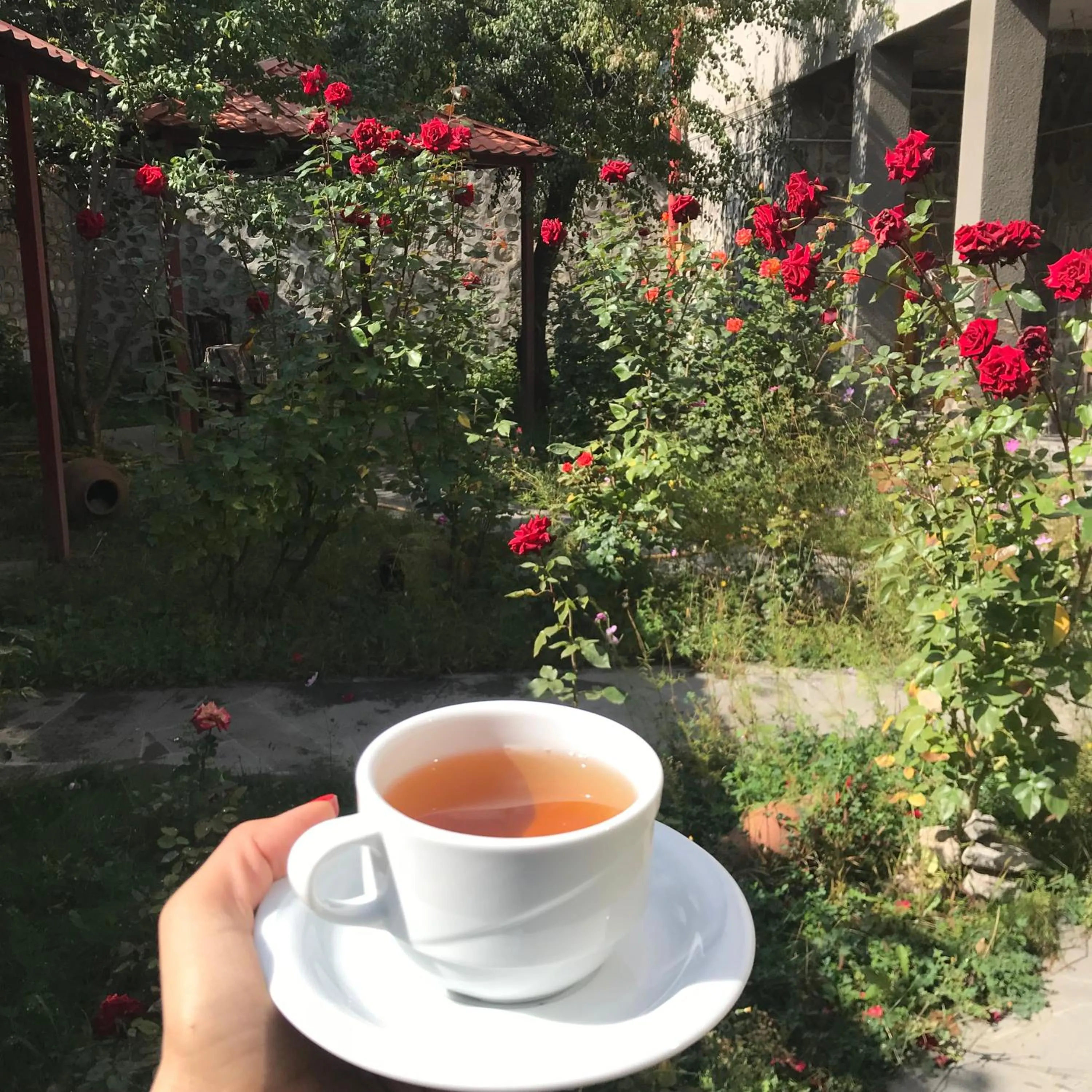 American breakfast in Christy Hotel