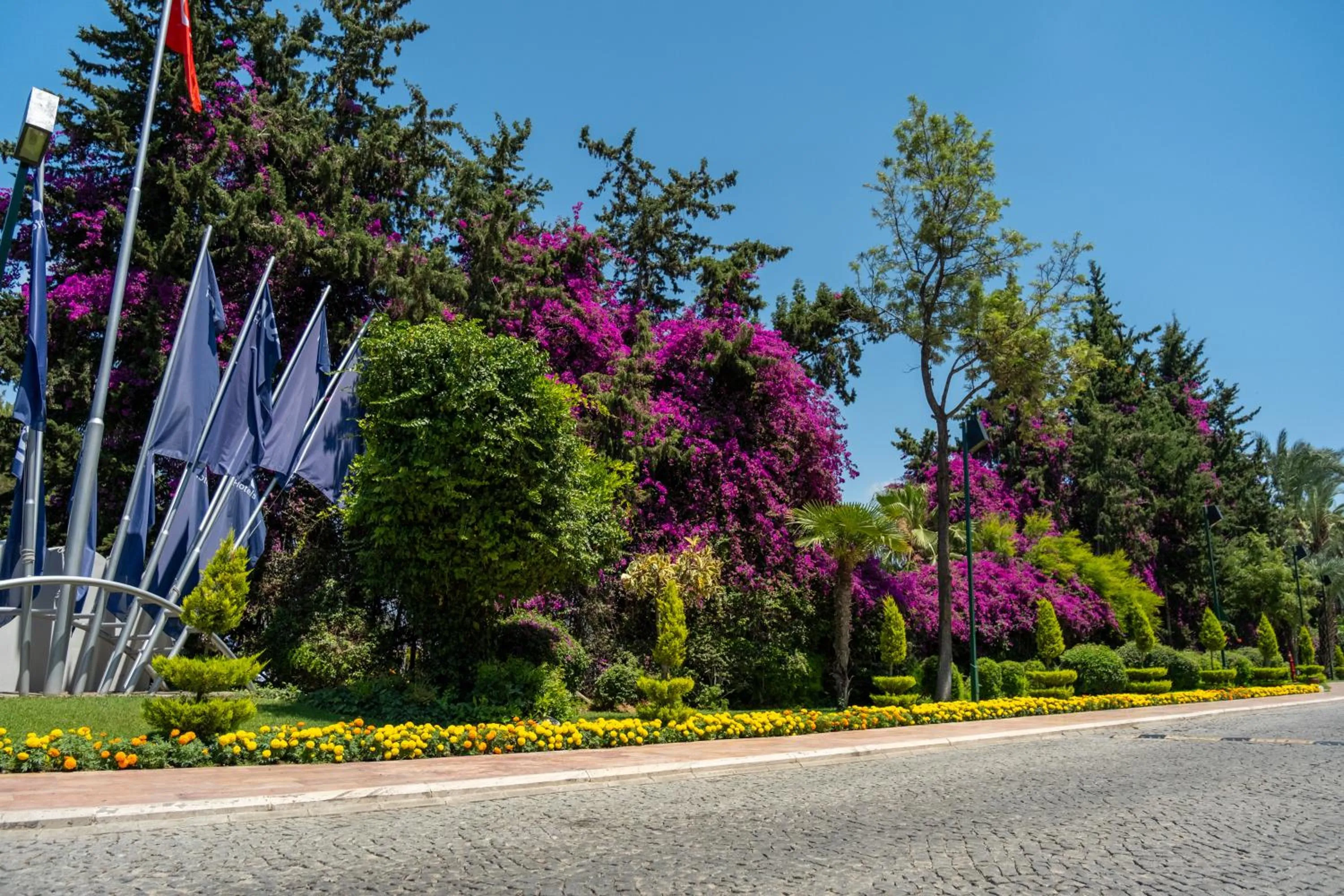 Day in AQI Pegasos Resort