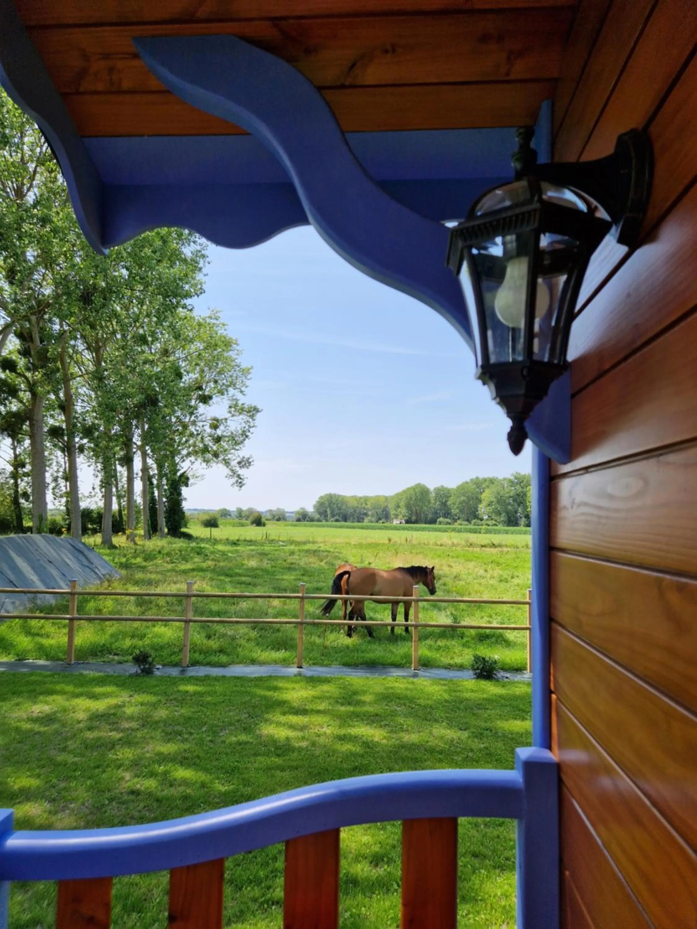 Garden in La Bastide du Moulin - Mont St Michel