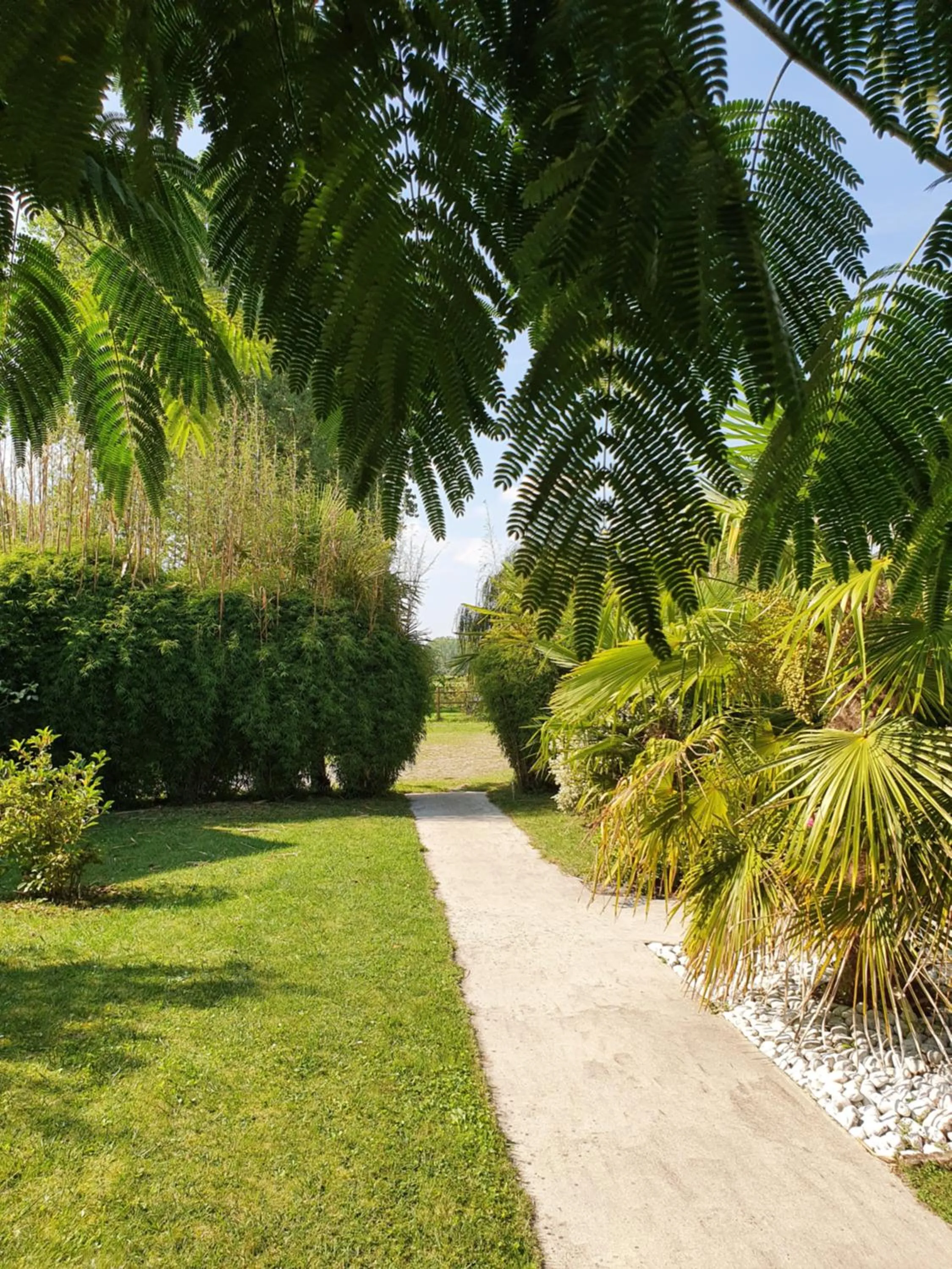 Garden in La Bastide du Moulin - Mont St Michel
