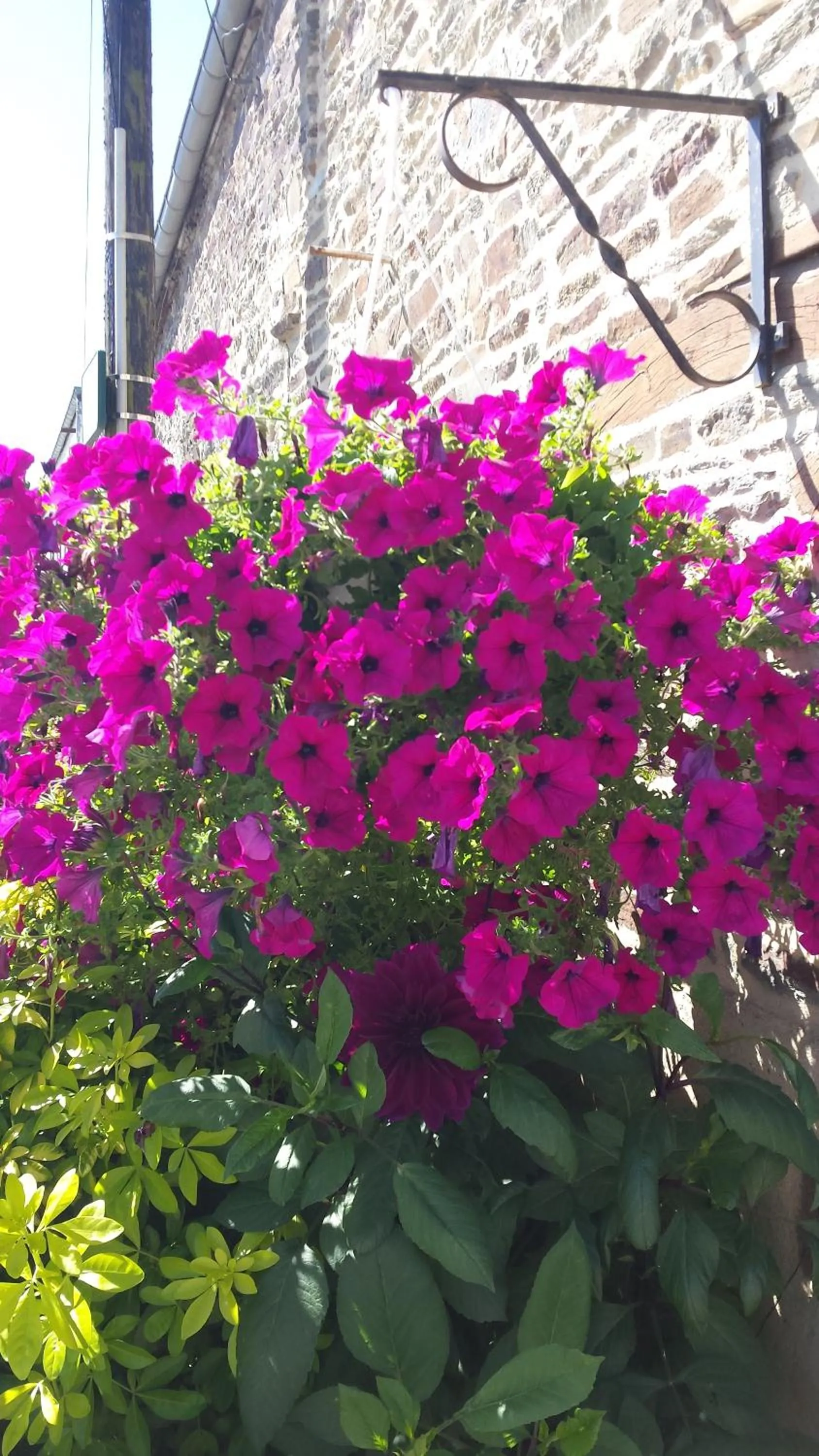 Facade/entrance in La Bastide du Moulin - Mont St Michel