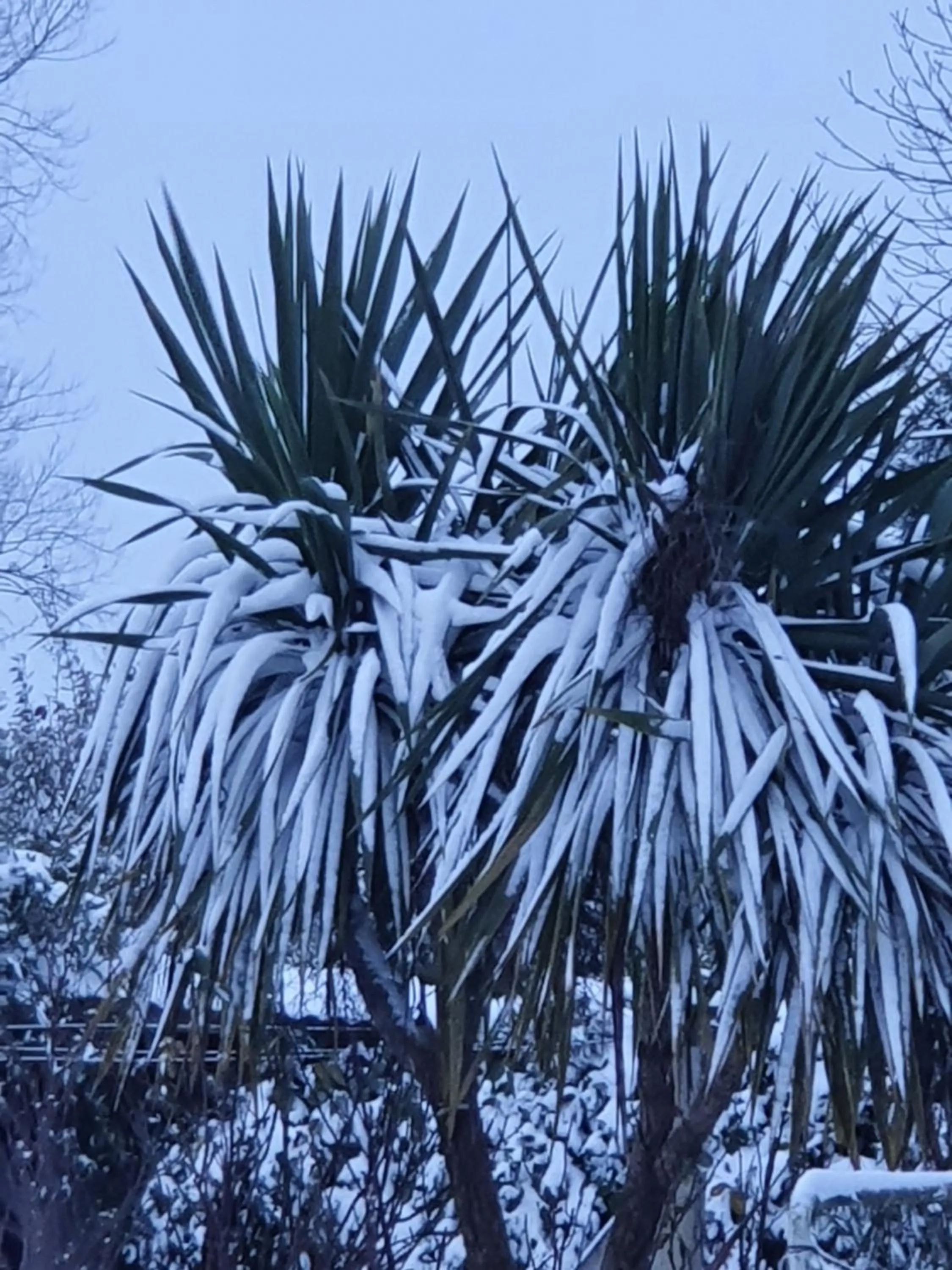 Winter in La Bastide du Moulin - Mont St Michel
