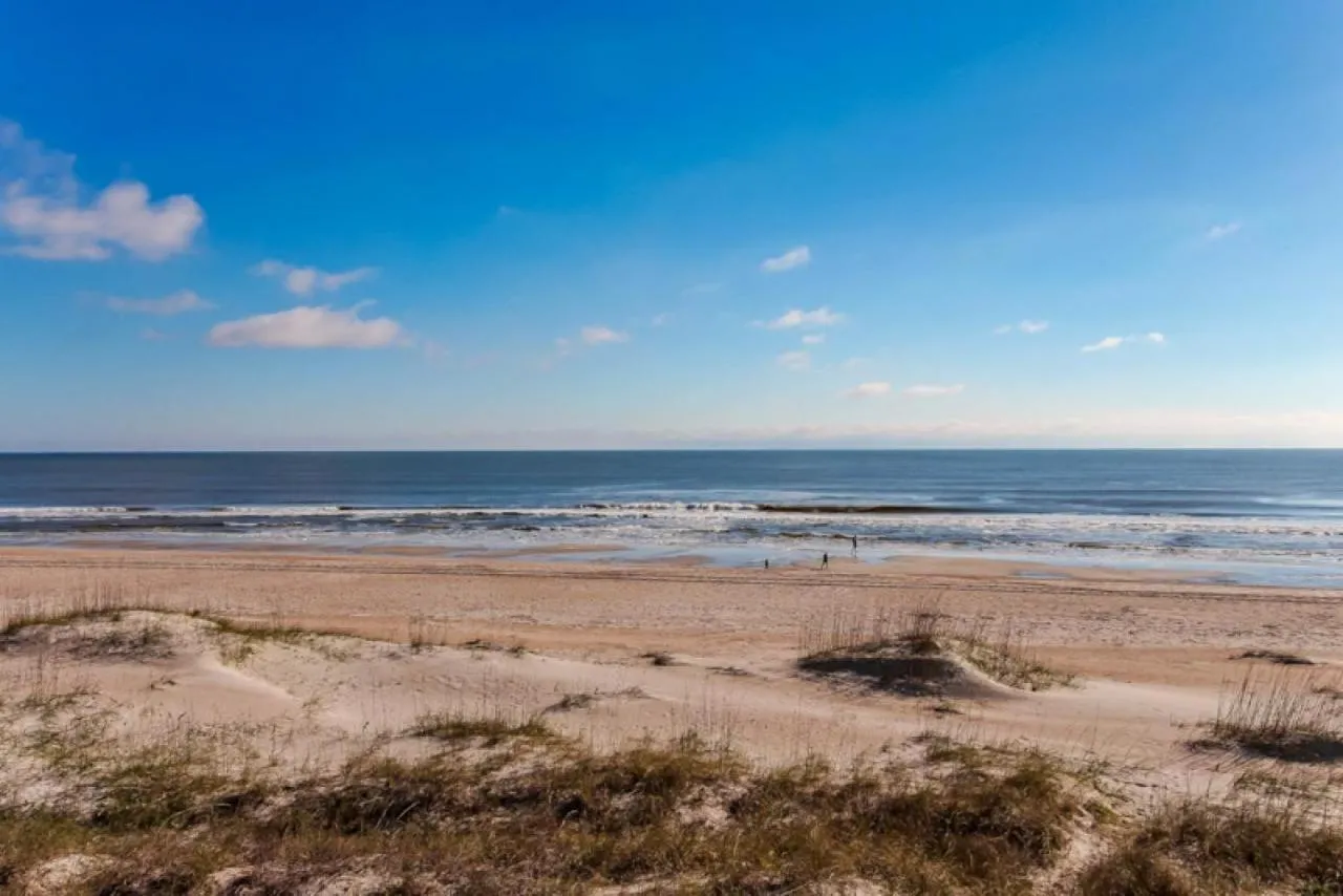 Oceans Of Amelia