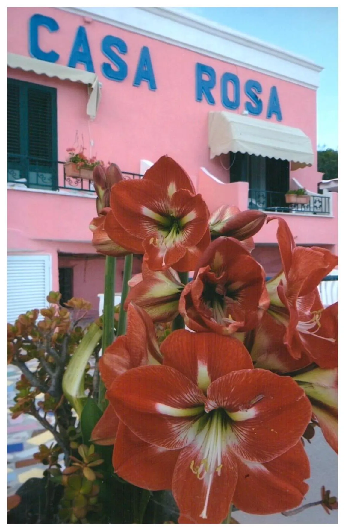 Hotel Casa Rosa Sea & Spa