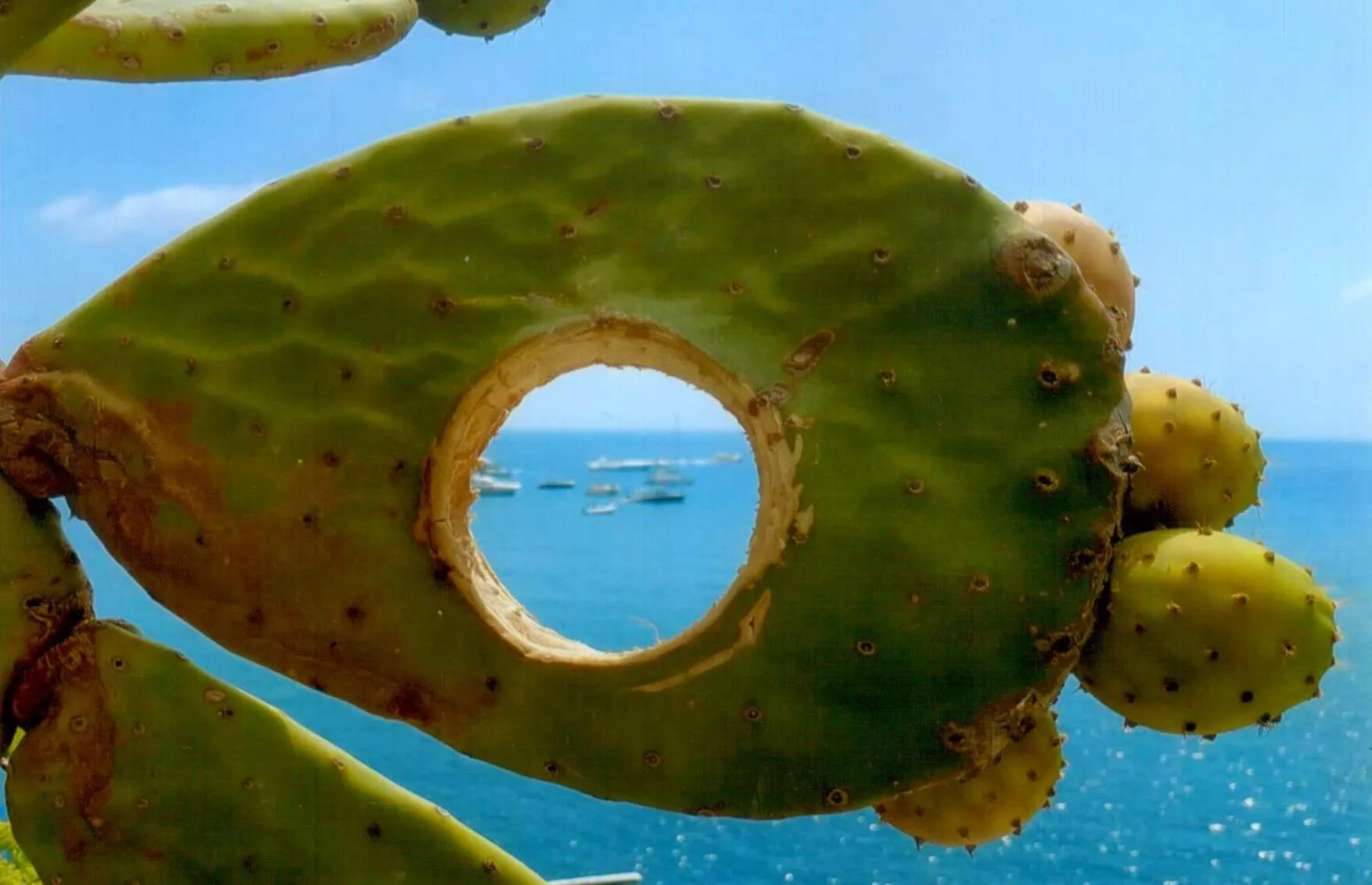 Hotel Casa Rosa Sea & Spa