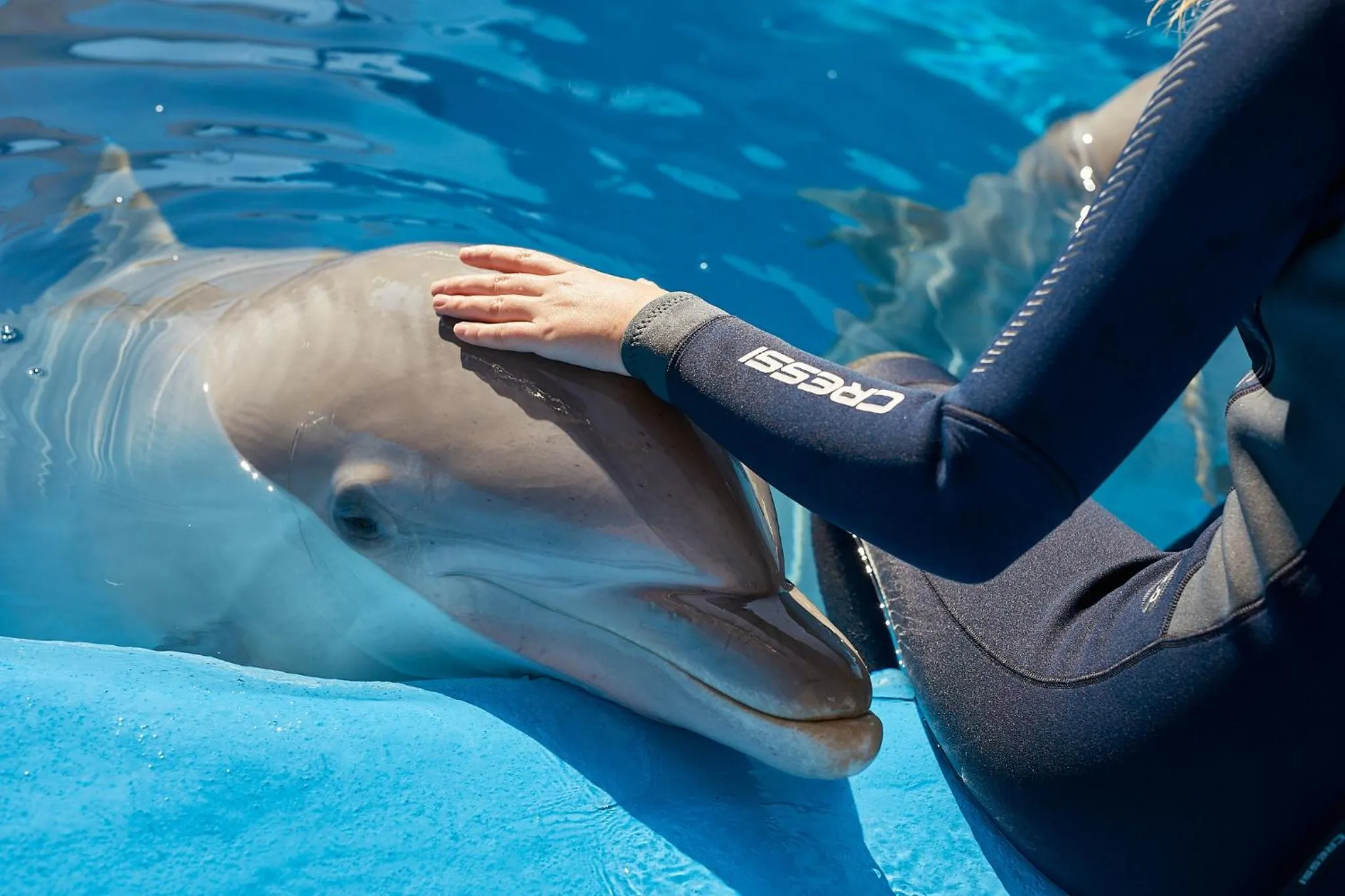 Children play ground in Four Points by Sheraton Costa Blanca Villas