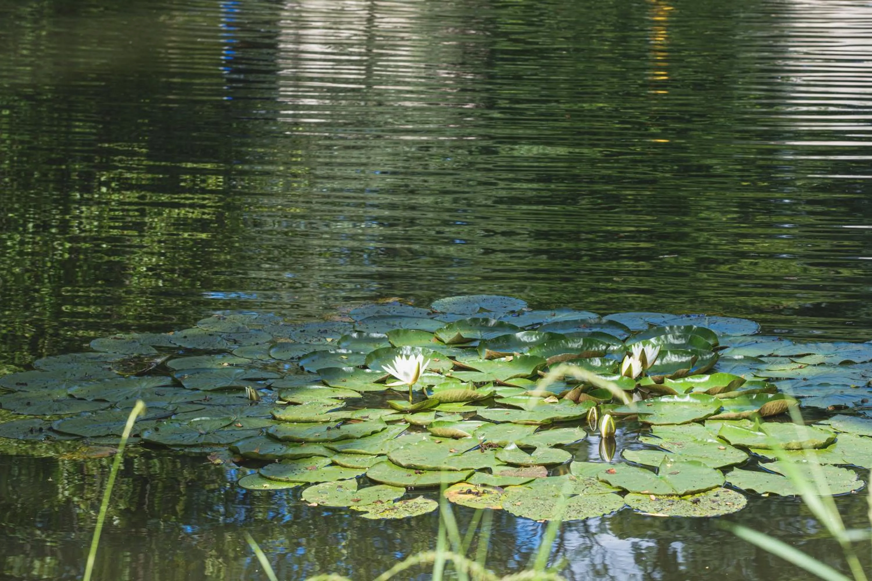 Lake view in Domaine de la Résidence - Hôtel, Spa & Restaurant