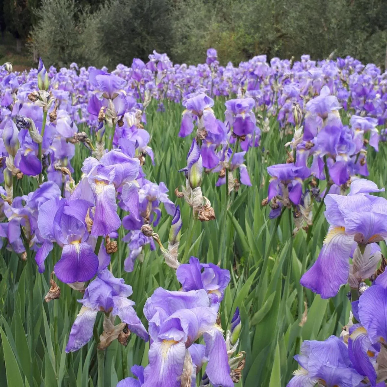 Natural landscape in Casa Soleluna B&B