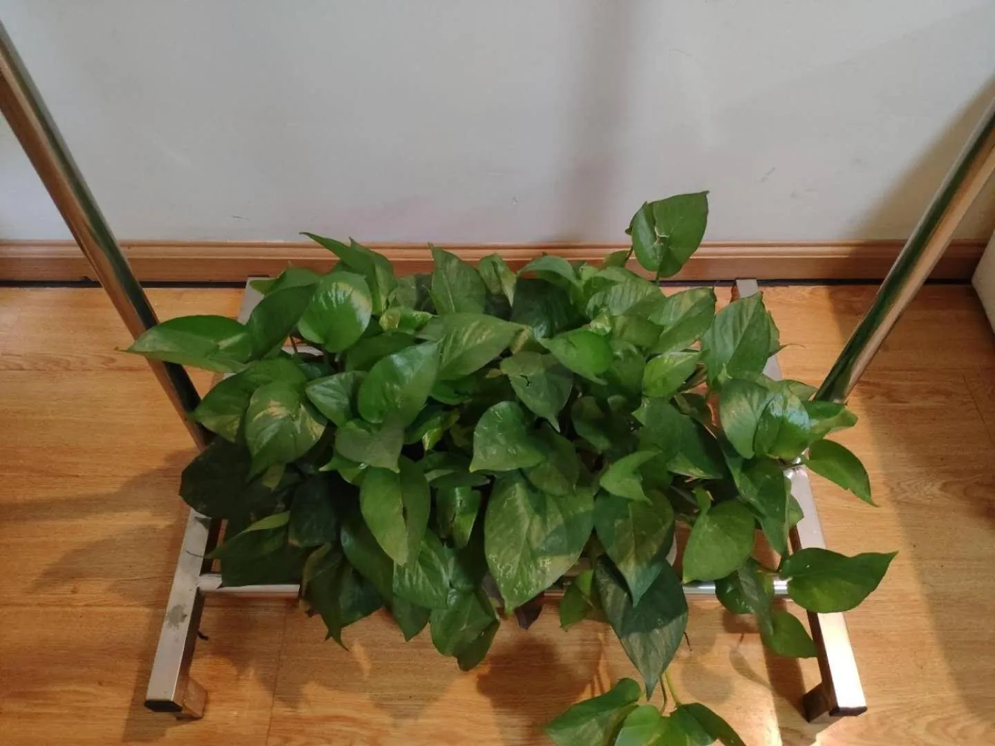 7 Days Inn (Hangzhou Xiaoshan Airport West Gate)