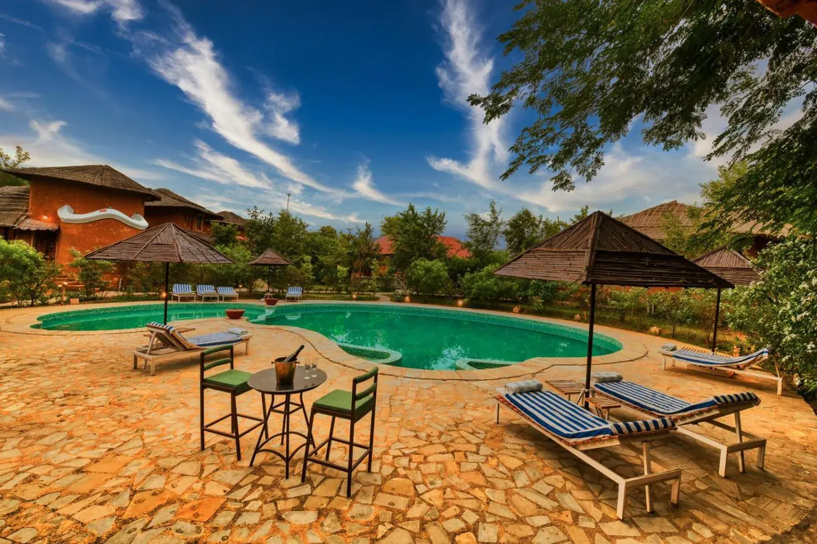 Swimming pool in The Earth at Ranthambore Swimming pool in The Earth at Ranthambore