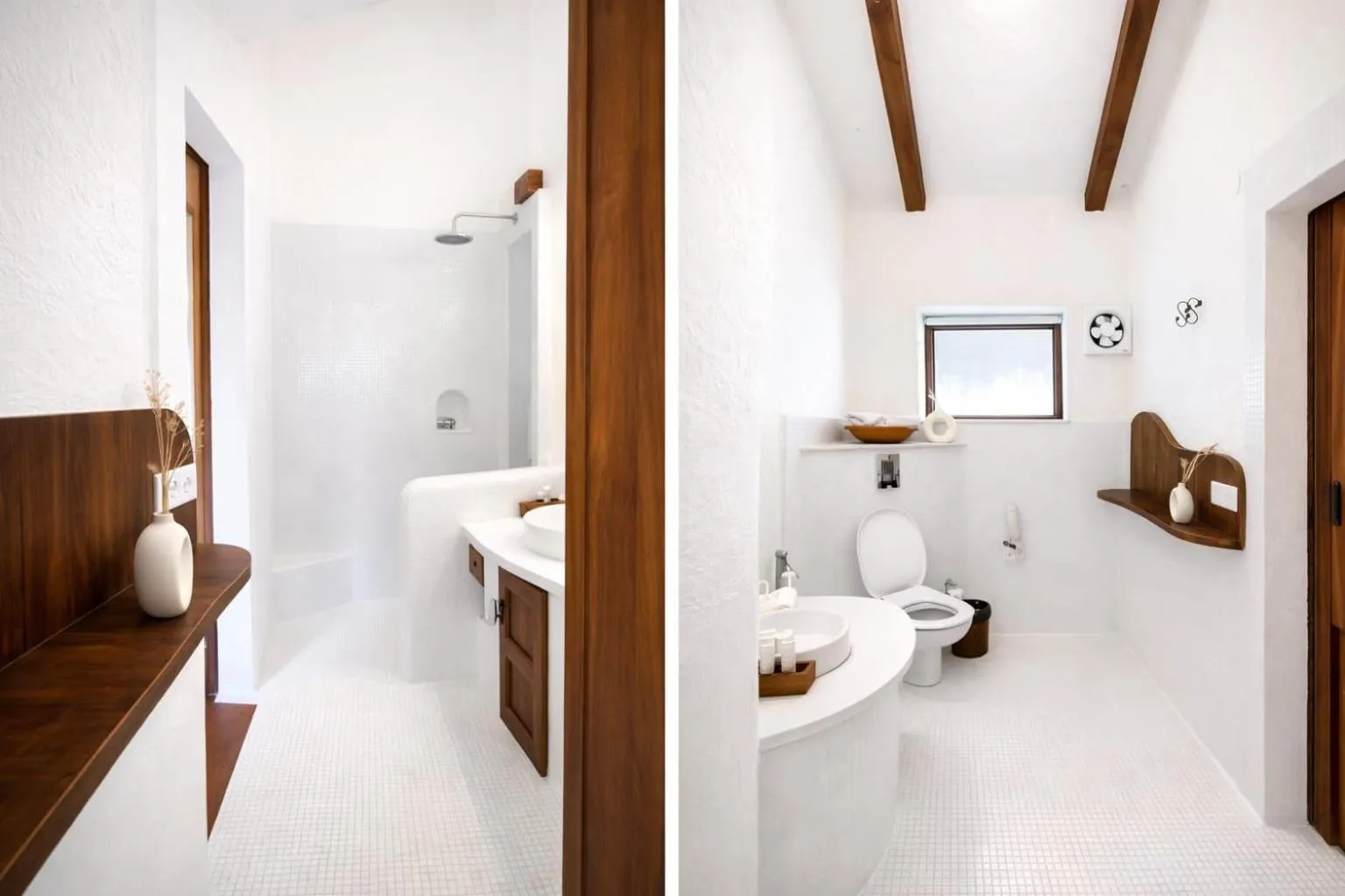 The Earth at Ranthambore