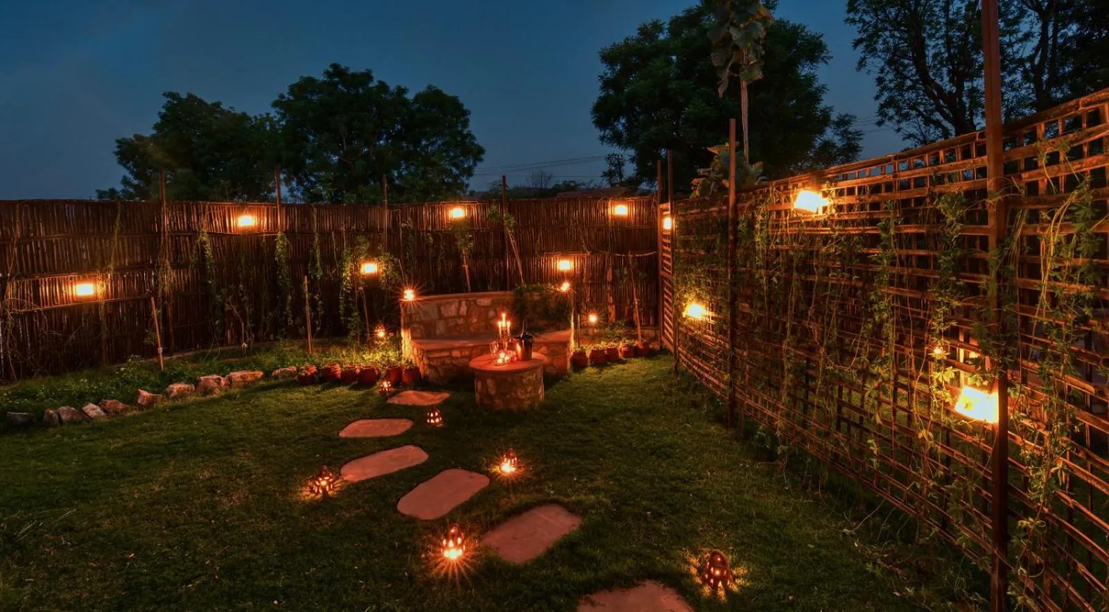 Dhara in The Earth at Ranthambore