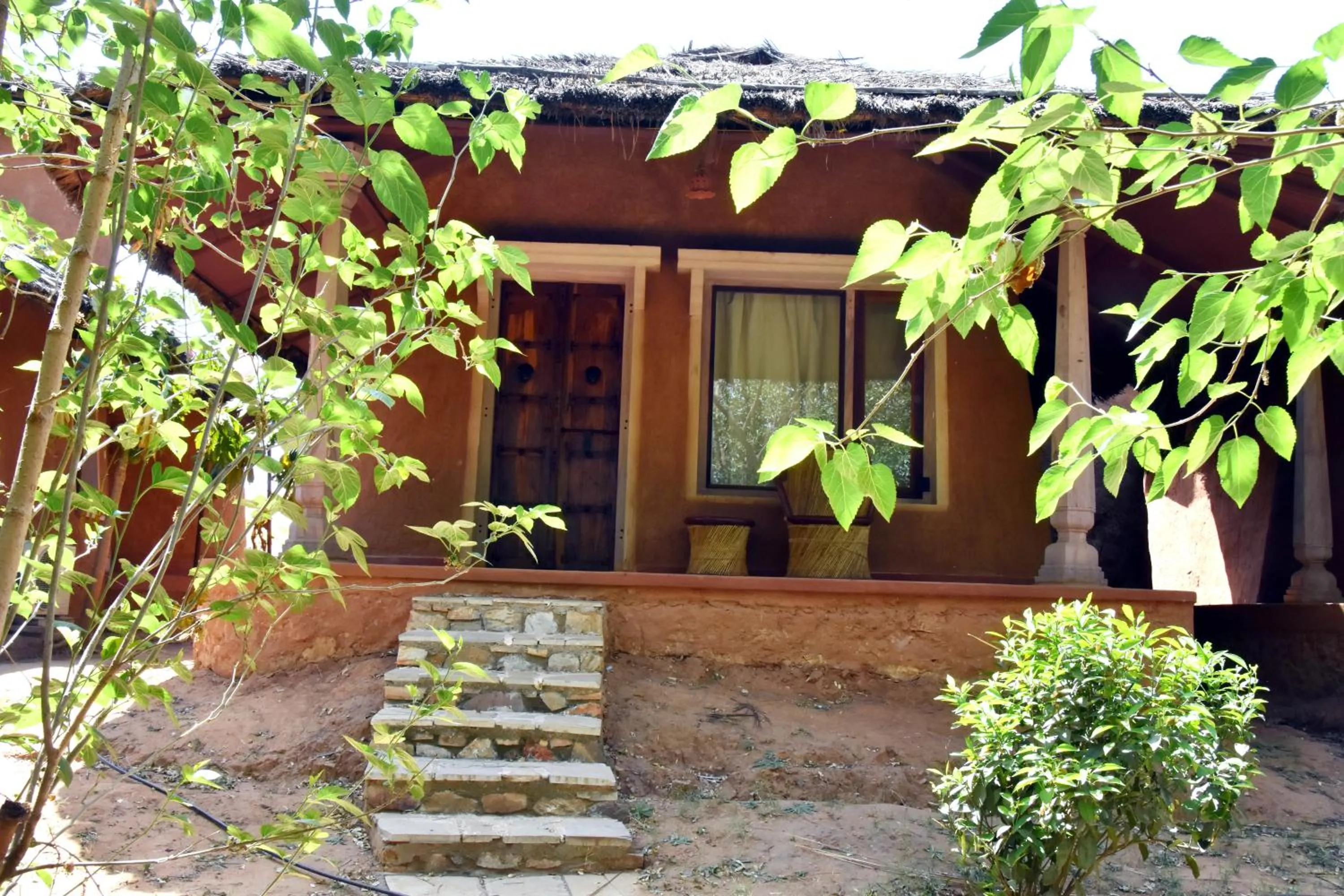 View (from property/room) in The Earth at Ranthambore