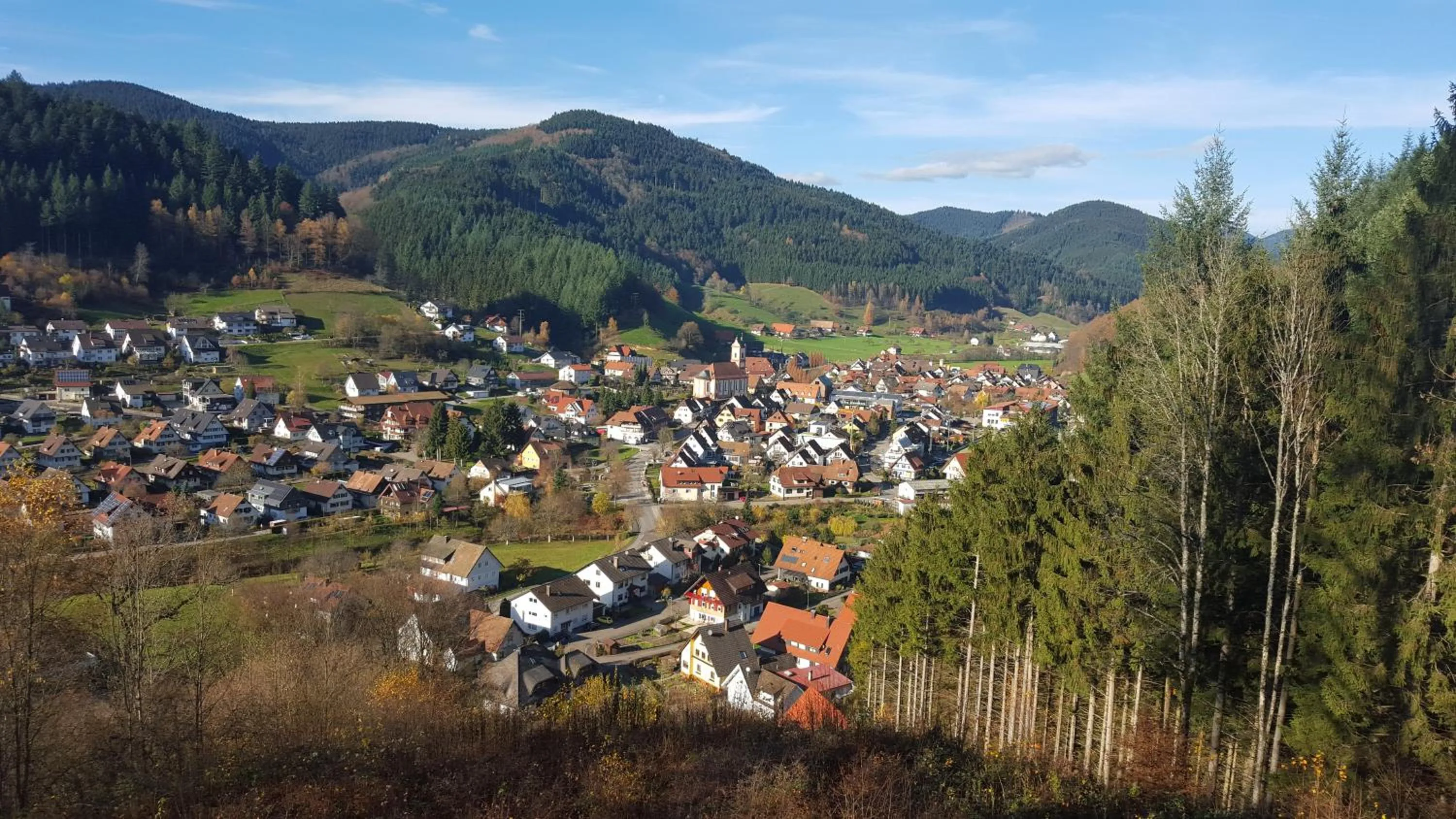 Natural landscape in Hotel 3 Könige