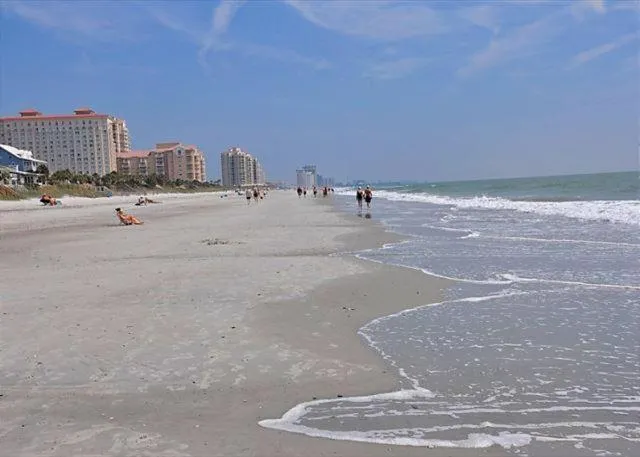 Carolina Dunes 304