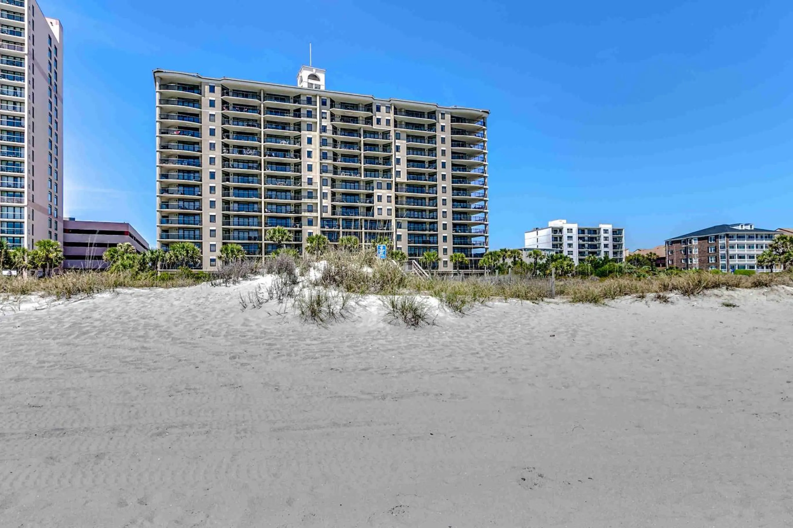 Carolina Dunes 304